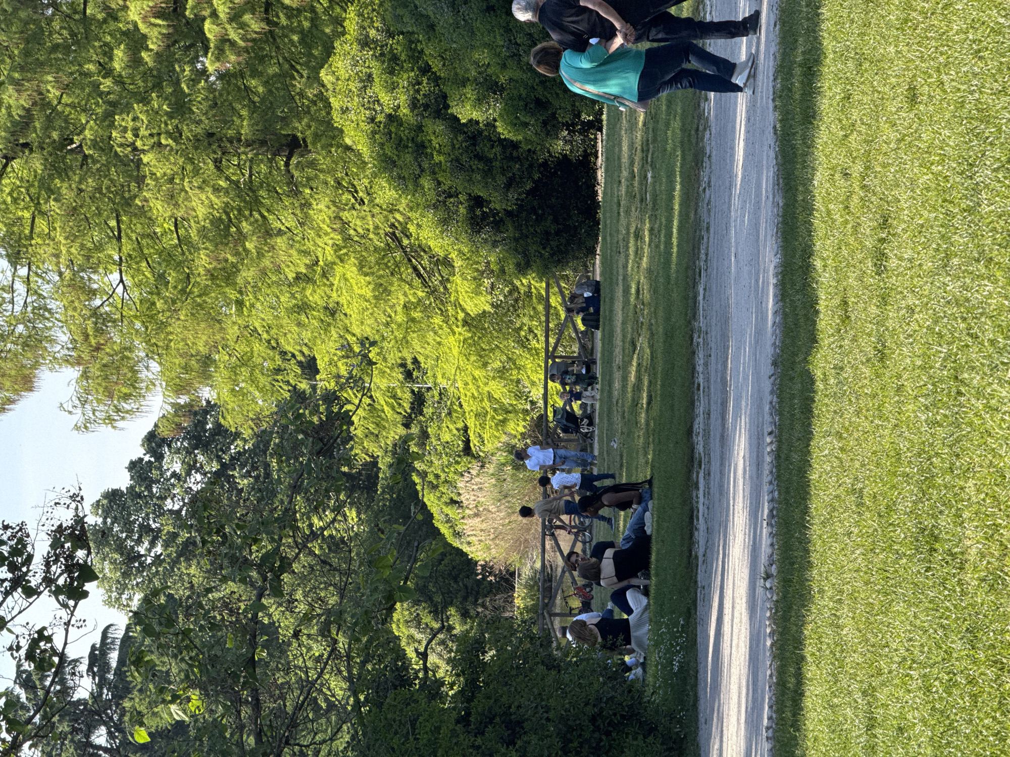 This image captures a serene outdoor scene, likely in a park or large green space, on a sunny day. The primary subjects are several individuals engaged in leisure activities.
In the foreground, a light dirt or gravel path runs along the right side of the frame, bordered by lush green grass. Two people are seen walking on this path, moving away from the viewer. One person wears a black shirt and dark pants, while the other is dressed in a vibrant green top and dark pants.
To the left of the path, beneath the shade of abundant trees and on a grassy area, a group of people is gathered. Some individuals are seated on the grass, relaxing, while others are standing or mingling near a low wooden fence or barrier. Bicycles are also visible leaning near this structure. The group appears to be enjoying the pleasant weather and company.
The scene is dominated by vibrant green foliage from numerous trees, some with light green leaves suggesting new growth, indicative of spring or summer. The lighting suggests late afternoon or early evening, with long shadows cast across the path and grass by the trees and people, and bright sunlight illuminating parts of the scene. The sky, visible through gaps in the trees, appears clear and blue. No specific location cues are visible within the image itself, but the context indicates the location is Milan, Italy. There is no visible text in the image.