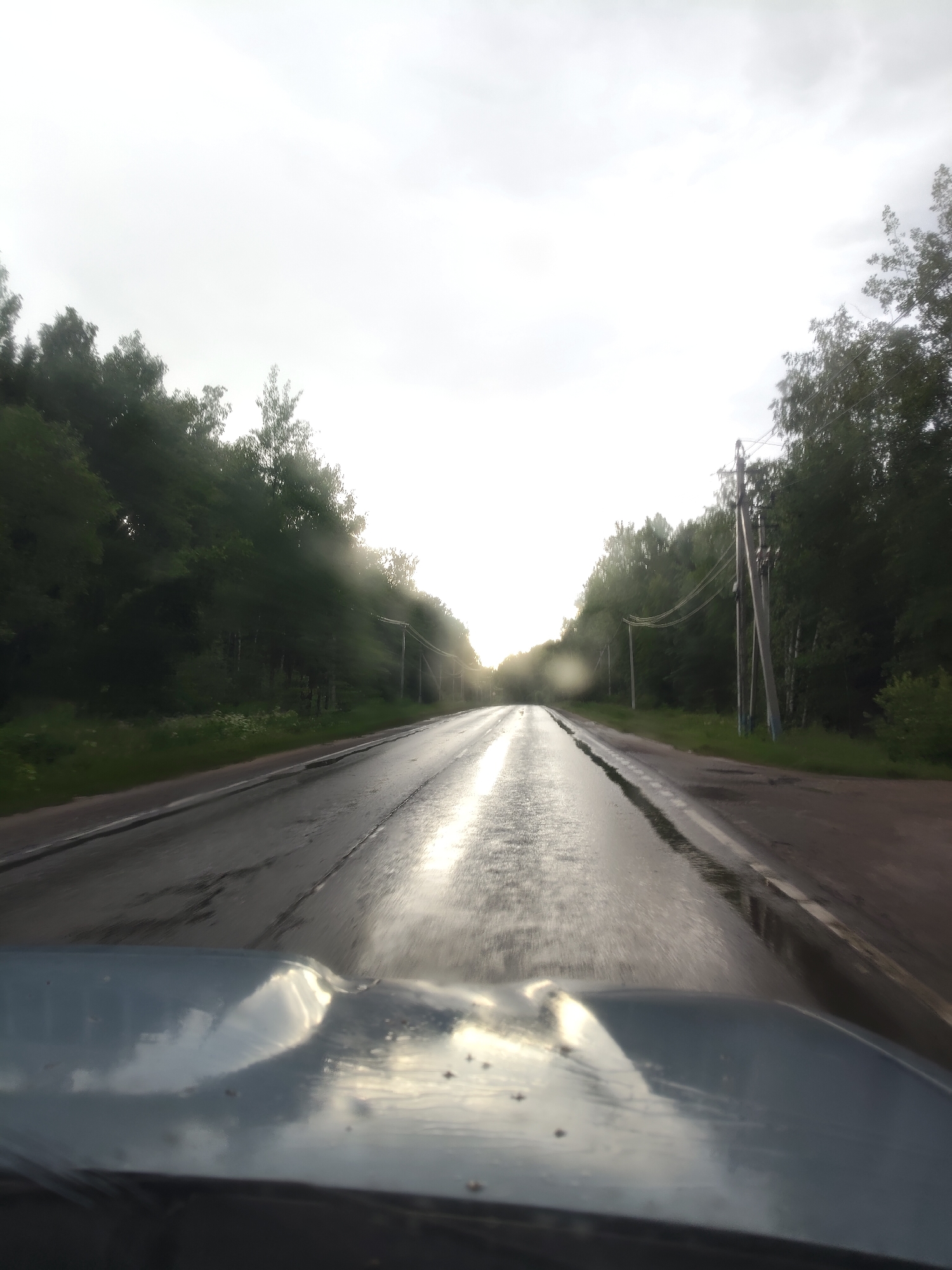 The image captures a view from inside a vehicle driving on a wet, asphalt road. The road appears to be bordered by dense green trees on both sides, with power lines running alongside the trees. The sky is overcast and bright, suggesting either dawn or dusk, or a heavily clouded day. There are visible water droplets on the windshield, indicating that it might be raining or has recently rained, contributing to the wetness of the road and the reflections on its surface. The light from the sky reflects strongly on the wet road, creating a bright streak down the center. The hood of the vehicle is visible in the foreground, reflecting the sky and the surrounding trees. The overall impression is that of a journey through a rural or semi-rural landscape during possibly inclement weather. The location context provided is Khodaevo, Russia. There is no visible text in the image.