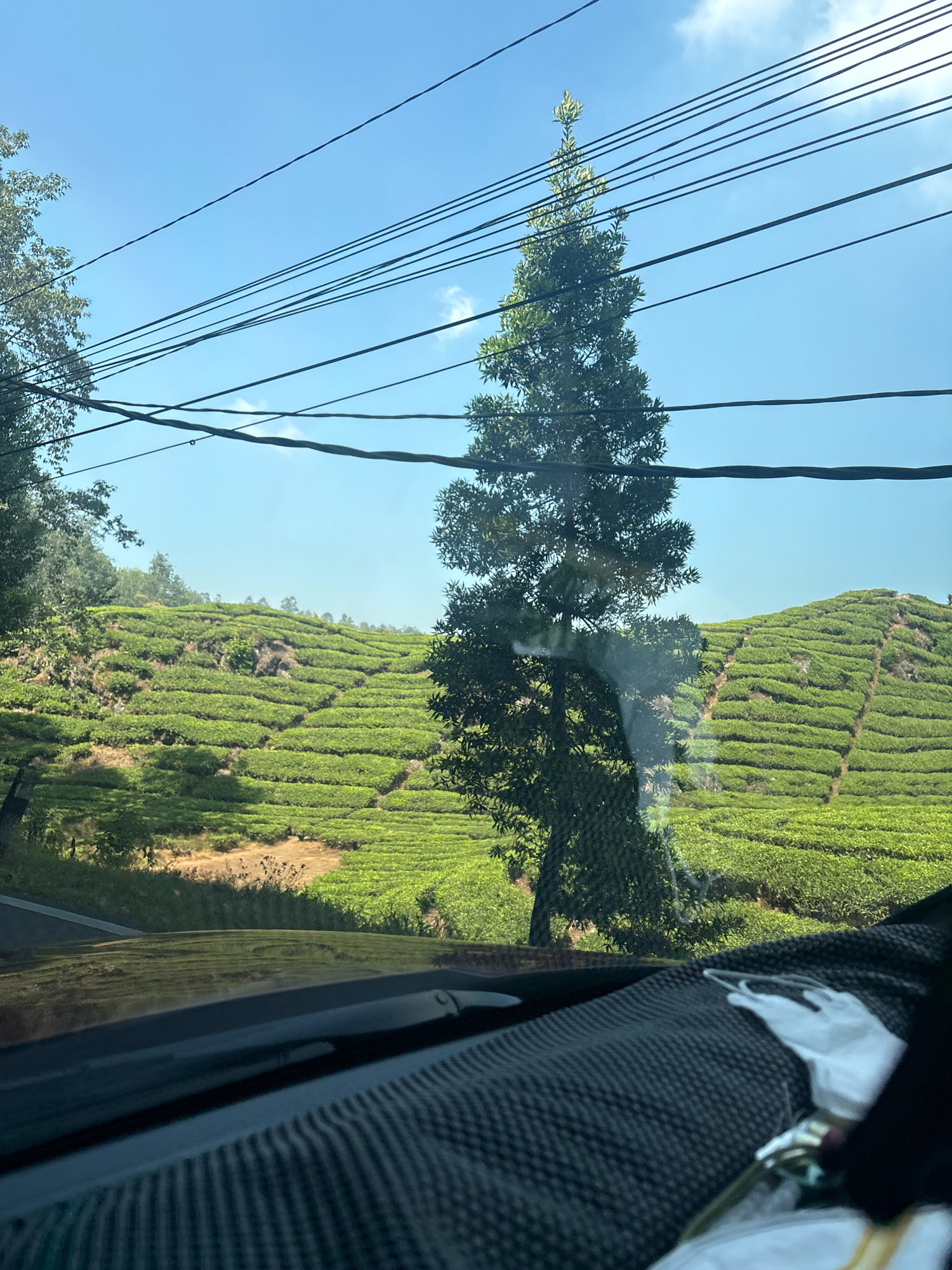 The image depicts a scenic view of rolling green hills, likely tea plantations, under a clear blue sky with scattered clouds. Numerous power lines stretch across the upper portion of the frame, partially obscuring the sky and a tall, slender evergreen tree. The foreground shows the interior of a vehicle, including the dashboard and a portion of the windshield. The plantation is characterized by neatly arranged rows of vibrant green foliage that follow the contours of the hills. The landscape suggests a rural or natural setting, possibly in the highlands given the terraced cultivation. The location is identified as Patengan, Indonesia.