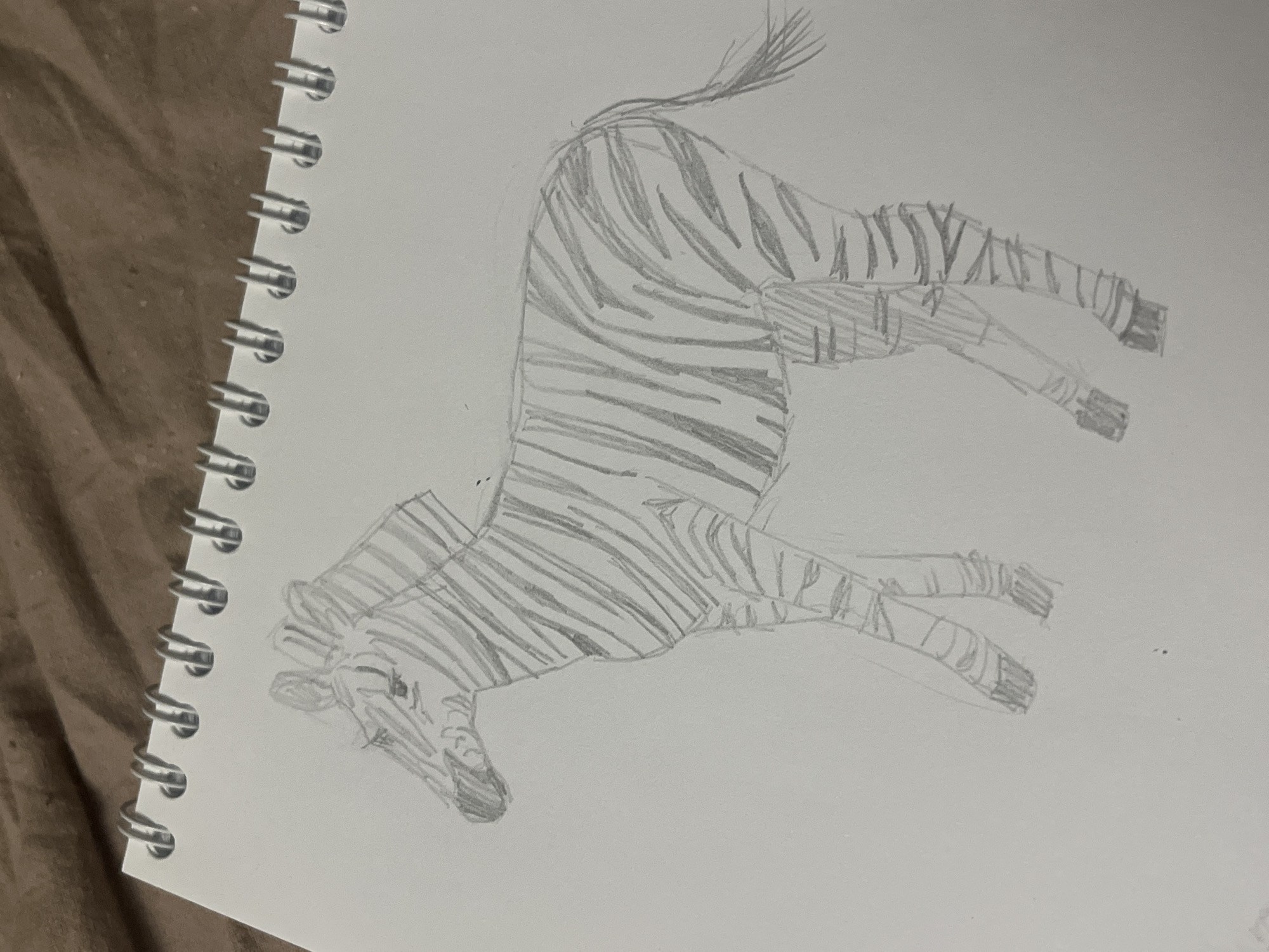The image shows a pencil drawing of a zebra on a page from a spiral-bound sketchbook. The zebra, drawn in a simple style, is depicted in profile, facing left, with its body, legs, head, and neck covered in distinct pencil-shaded stripes. A tufted tail is visible at the rear. The sketchbook features white paper and a silver-colored spiral binding running along its left edge. The sketchbook is resting on a textured, brown fabric surface, which appears to be wrinkled, possibly a blanket or bedspread. The lighting is soft, illuminating the drawing and the surrounding textures. No text is visible in the image.