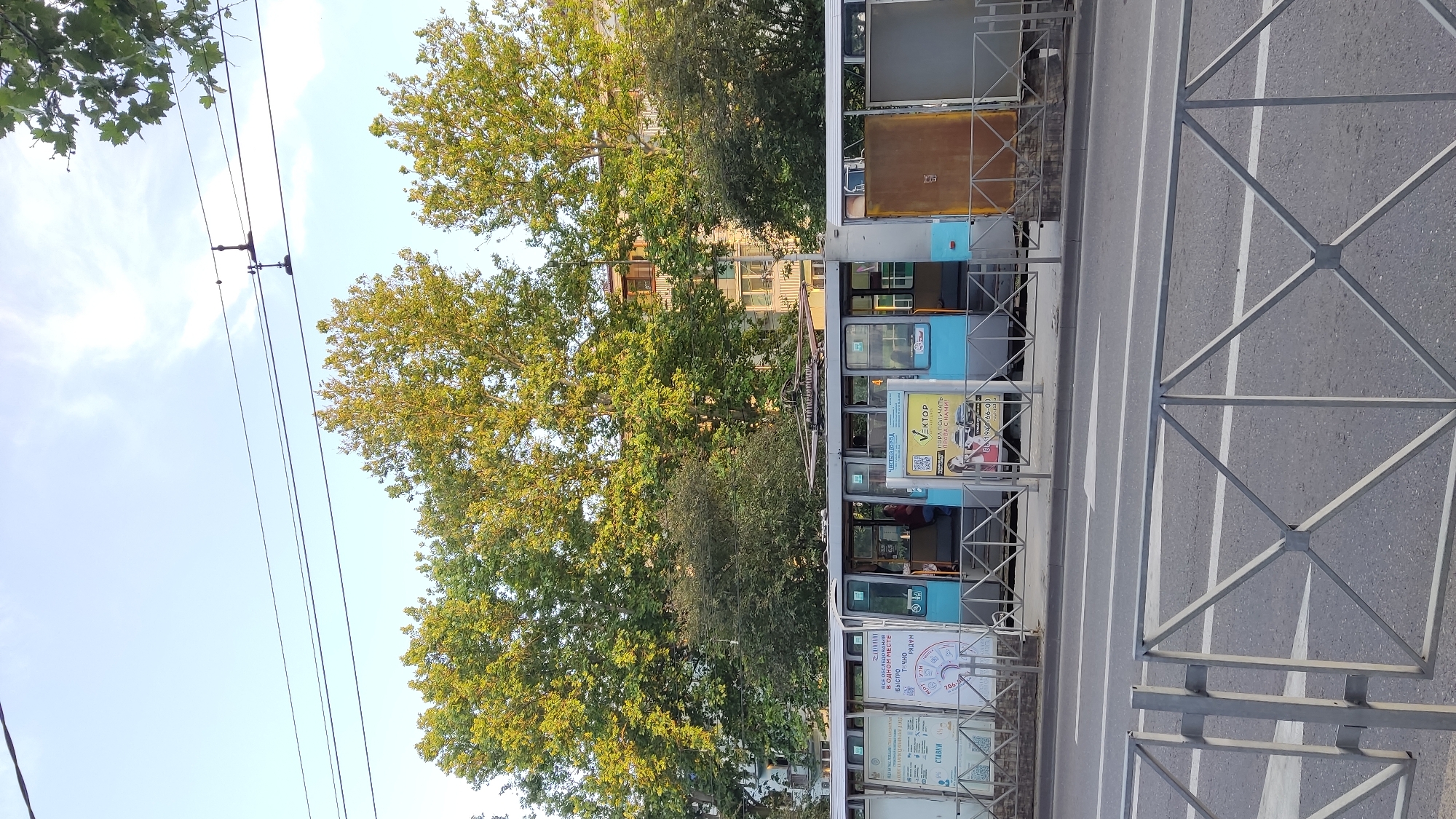 The image shows a street scene in Krasnodar, Russia. In the foreground, a metal fence with a diamond pattern is visible on the left side. Beyond the fence, a street with a white arrow painted on it runs horizontally. A tram is stopped at a platform on the right side of the street, with its doors open. The tram is blue and gray, with advertisements on its side. Several trees with green foliage are behind the tram, and a building with windows is visible behind the trees. The sky is clear and blue with some clouds.