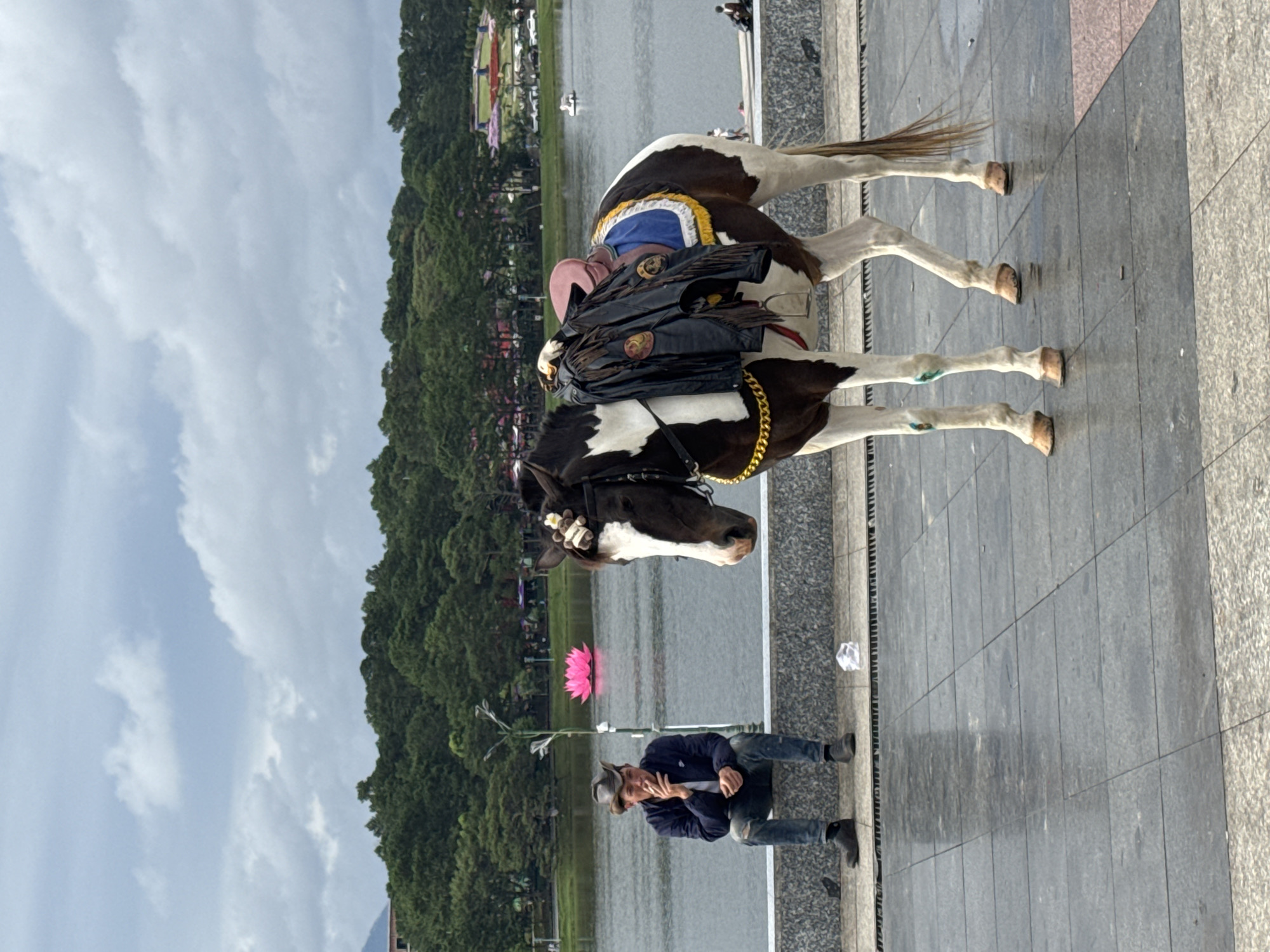 This image captures a vibrant scene alongside a body of water in Da Lat, Vietnam, likely Xuan Huong Lake. The central subjects are a distinctive piebald (black and white) horse and a man.
The horse stands patiently on a paved promenade, facing left. It is elaborately saddled, featuring a blue and yellow saddle blanket beneath a dark leather saddle adorned with fringes and emblems. A golden chain accents its harness, and delicate white floral decorations are visible on its bridle near its ears. The horse's hooves appear well-maintained, with some showing green markings.
Beside the horse's head, a man is crouched down. He is dressed in a dark jacket, blue jeans, and a hat, and appears to be smoking or holding a small object to his mouth. In his left hand, he holds a stick or whip with white tassels. He seems to be the horse's handler, possibly waiting for tourists to offer rides or photo opportunities.
The promenade is made of light and dark gray rectangular tiles, bordered by a low concrete barrier separating it from the water. Across the calm water, a lush green bank of trees and foliage forms the middle ground, with distant buildings and what appear to be tents or structures visible further back. A striking large, pink lotus flower structure floats on the water, adding a unique cultural touch to the landscape. Small figures of people can be seen in the distance across the water and on the far bank.
The sky above is partly cloudy, indicating daytime conditions. The overall atmosphere suggests a relaxed, leisurely setting, typical of a popular tourist destination. No discernible text is visible in the image.
