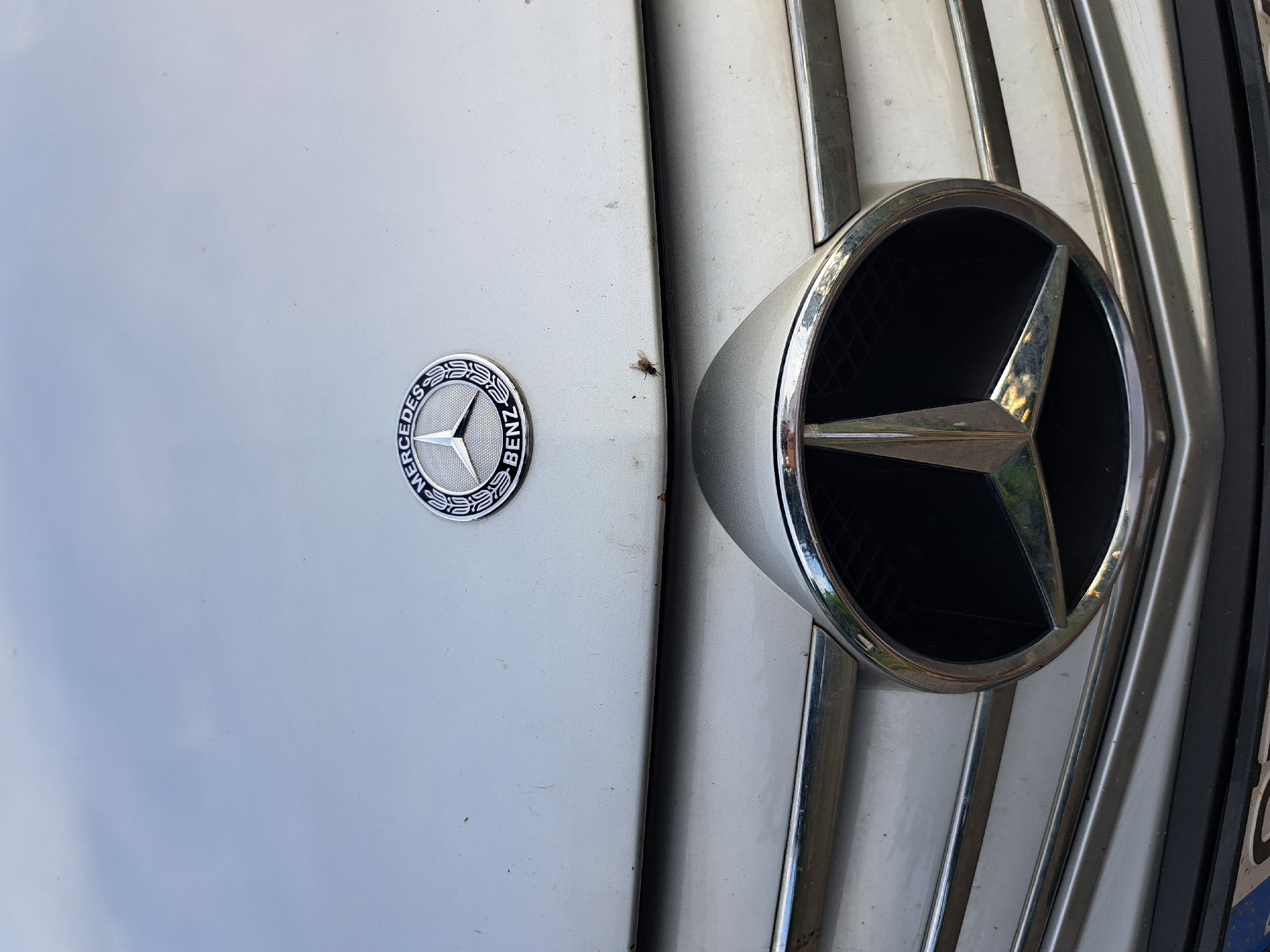 The image is a close-up shot of the front of a silver Mercedes-Benz car. The Mercedes-Benz logo, a three-pointed star within a circle, is prominently displayed on the left side of the image. To the right of the logo, the car's grille is visible, featuring vertical chrome accents and a larger, circular emblem with the Mercedes-Benz star. A fly is perched on the car's surface between the logo and the grille. The lighting suggests it is daytime, likely outdoors, given the reflections on the car's surface. There is no indication of specific weather conditions or emotional cues. The text "MERCEDES-BENZ" is visible around the circular logo. The location is identified as Lokorsko, Bulgaria.