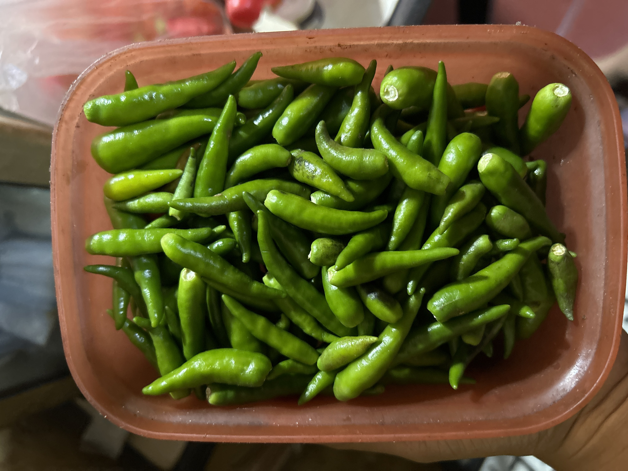 A close-up, overhead shot captures a plastic container filled with numerous small, green chilies. The container, which appears to be made of orange-tinted plastic, is held by a person's hand on the left side of the frame, partially visible. The chilies are tightly packed, with their pointed ends generally facing upwards and outwards, creating a textured surface. Some chilies show slight imperfections or variations in color. The background is blurred, with hints of red and white objects, possibly other food items or packaging, suggesting an indoor setting. The overall lighting is dim, with reflections visible on the shiny surfaces of the chilies. The image appears to have been taken in an urban residential setting, likely a kitchen or dining area, within the city of Depok, Indonesia.
