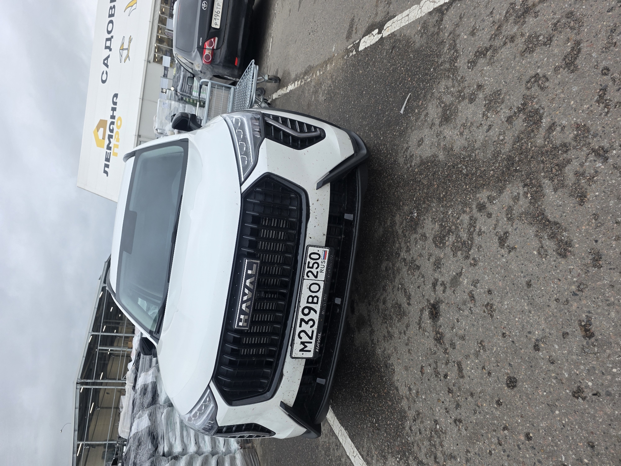 A white Haval SUV is parked in an asphalt lot, angled towards the viewer. The car's front grille, headlights, and license plate are clearly visible. The license plate reads "M239BO 250 RUS". In the background, a black Toyota Corolla is parked, with a shopping cart nearby. A large white building with signage is also visible behind the cars. The building's sign contains Cyrillic text that appears to say "САДОВЫ" and "ЛЕМАНА ПРО". The ground is wet and speckled with dark marks. The sky is overcast, suggesting cloudy weather. The scene appears to be a parking lot outside of a retail store, possibly a garden center or hardware store, given the building's signage and the presence of the shopping cart. There are no people visible in the image.