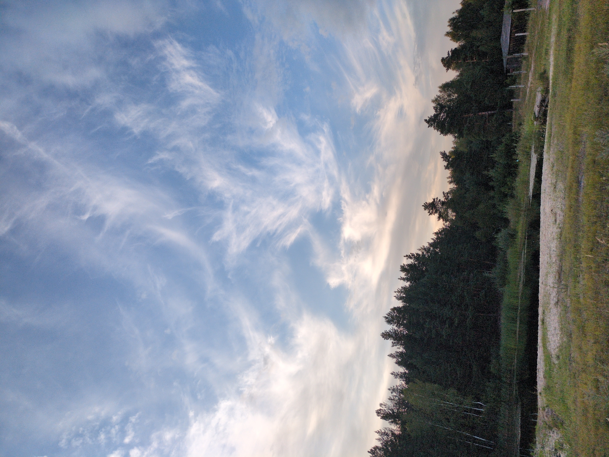 The image depicts a landscape scene featuring a body of water, a dense forest, and a sky filled with wispy clouds. In the foreground, there is a patch of dry grass and sand, with the dark water of a river or lake occupying the middle ground. Behind the water, a thick, dark green forest stretches across the horizon, with visible birch trees interspersed amongst the darker evergreens. The sky above is a pale blue with scattered, feathery white clouds, suggesting it may be either dawn or dusk. To the far right of the image, a rudimentary wooden shelter or shed is partially visible amongst the trees. No people or animals are present in the scene. The overall impression is of a quiet, natural environment.