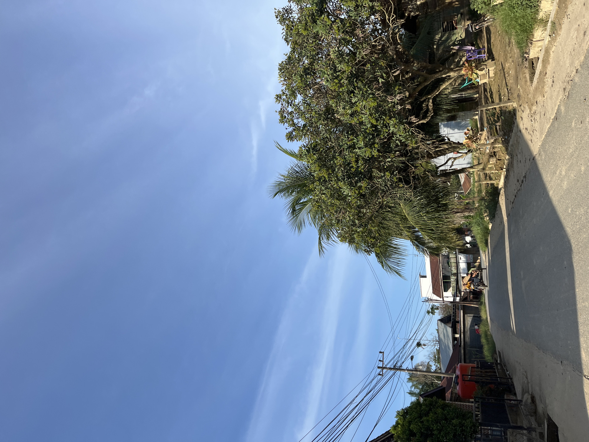 The image depicts a rural street scene in Landuh, Indonesia, under a bright, clear blue sky with wispy clouds. On the left side of the paved road, a black metal fence encloses a property with a large red water tank and lush green foliage. Further down the street, residential buildings with corrugated metal roofs are visible, interspersed with trees and utility poles supporting a complex network of electrical wires.
In the center of the frame, a motorcycle with a sidecar is moving away from the camera. Two individuals are seated on the motorcycle, one driving and the other in the sidecar. The road surface appears worn and has shadows cast upon it.
To the right of the road, several large trees with dense green canopies dominate the scene, casting shade. Some of these trees have visible trunks and branches. In front of the trees, a yard area is visible with potted plants, some plastic chairs, and a bicycle leaning against a structure. The ground in this area is a mixture of dirt and sparse vegetation. The overall environment suggests a tropical or subtropical climate.