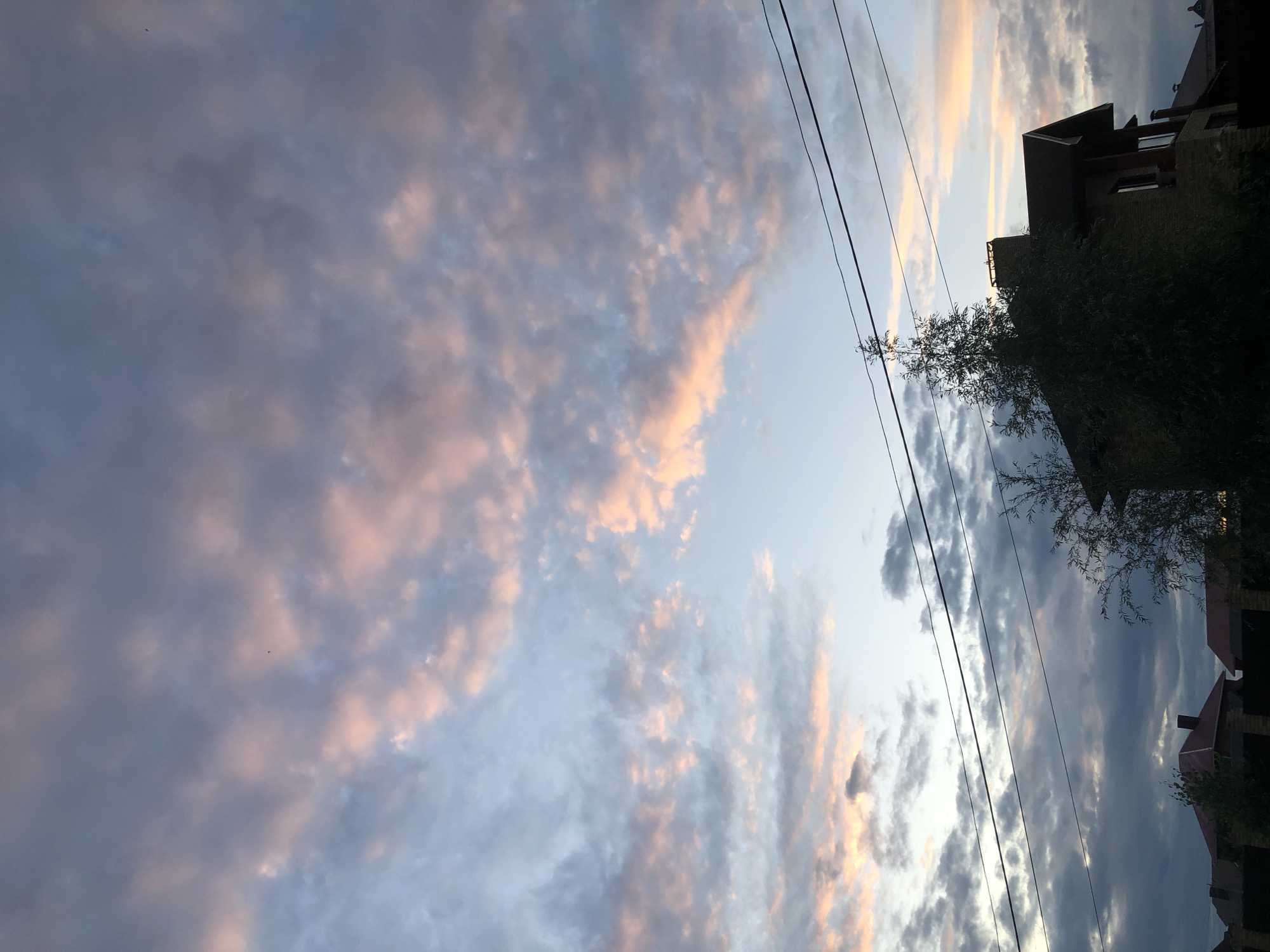 The image captures a residential scene in Noviy, Russia, during what appears to be sunset. The sky is filled with dramatic clouds, tinged with pink and orange hues against a backdrop of blue. Several power lines stretch horizontally across the frame, intersecting the sky. In the foreground, the silhouette of a multi-story house with a dark roof and brick facade is visible, partially obscured by dense green foliage. To the left, rooftops of other houses, likely belonging to neighbors, are discernible, along with a dark fence. The overall impression is a quiet, suburban evening.