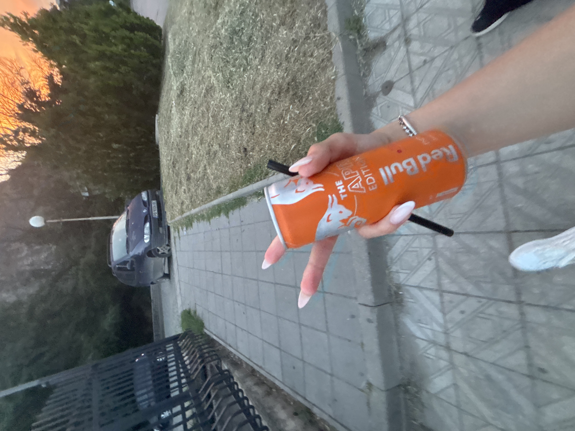 The image shows a close-up of a person's hand holding an orange can of Red Bull. The can has the words "THE APRICOT EDITION" printed on it. A black straw is inserted into the can. The person's nails are long and painted white. They are wearing a bracelet on their wrist. The background suggests an outdoor setting with a paved walkway, grass, trees, and a car. The lighting indicates it is likely dusk or dawn, with a warm glow in the sky. The scene appears to be located on a sidewalk next to a road in the city of Plovdiv, Bulgaria, as indicated by a license plate on the car in the background that reads "PB 9096 BC".