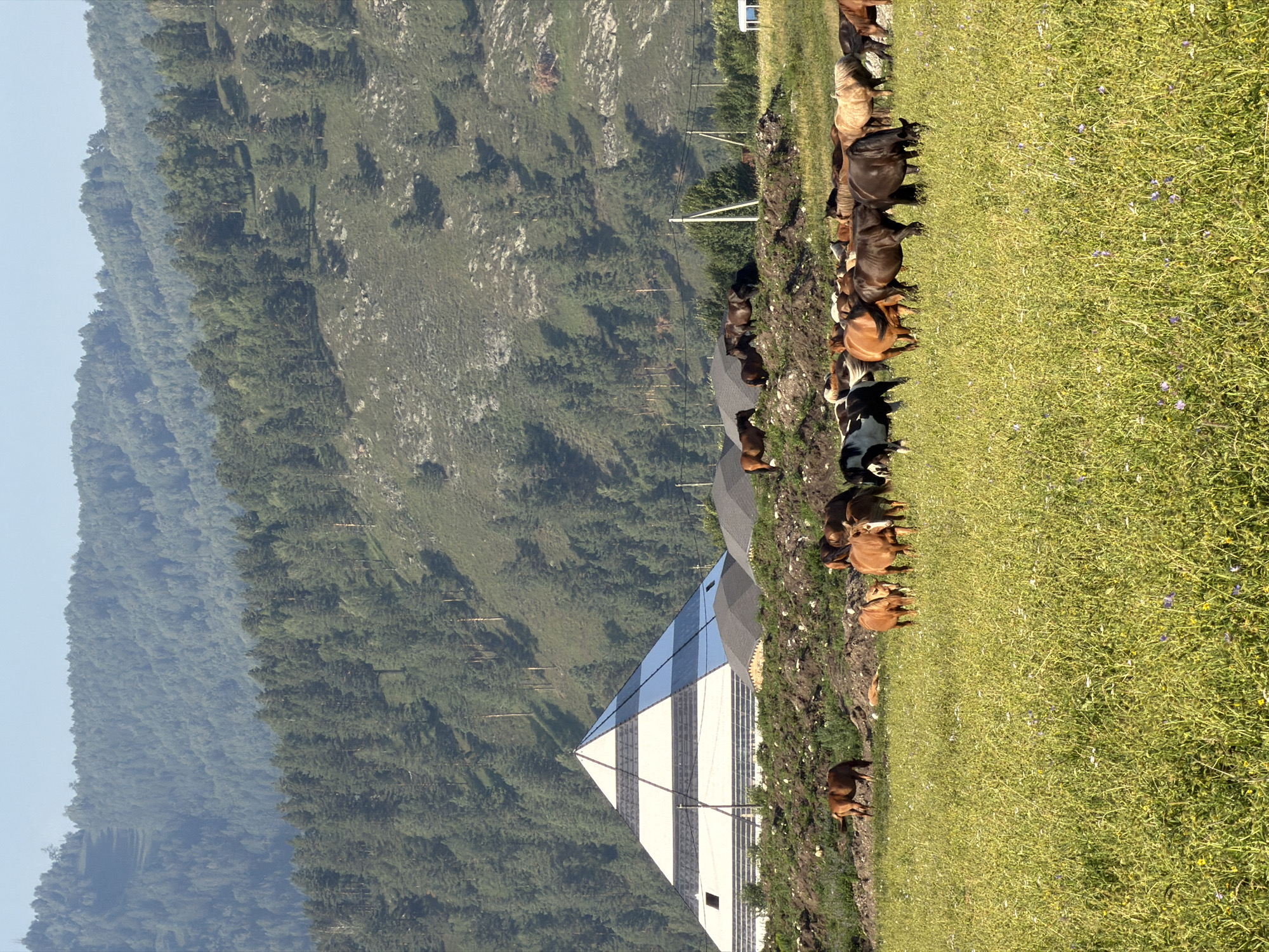 In Anos, Russia, a striking pyramid-shaped building with horizontal white and black stripes dominates the midground, situated against a backdrop of a densely forested, hilly landscape. In front of the pyramid, several piles of dark material, possibly coal or gravel, are visible. A herd of horses grazes in a lush, green field in the foreground, with some horses positioned closer to the elevated ground where the pyramid stands. The sky above is a clear, pale blue.