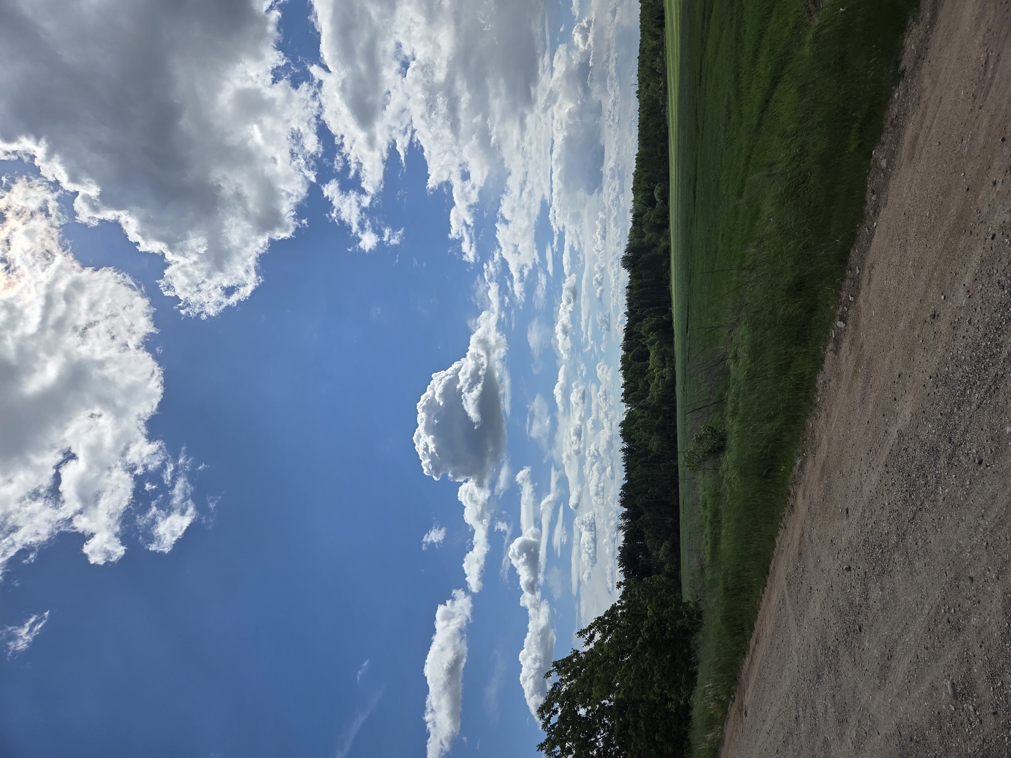 The image depicts a rural scene on a sunny day. A dirt road occupies the right side of the frame, composed of varying shades of brown and gray gravel. Adjacent to the road is a strip of green grass, followed by a line of trees forming a forest edge. The left side of the image is dominated by a blue sky filled with scattered white clouds of various sizes and shapes. No people or animals are visible. The specific location and city are not discernible from the provided image.