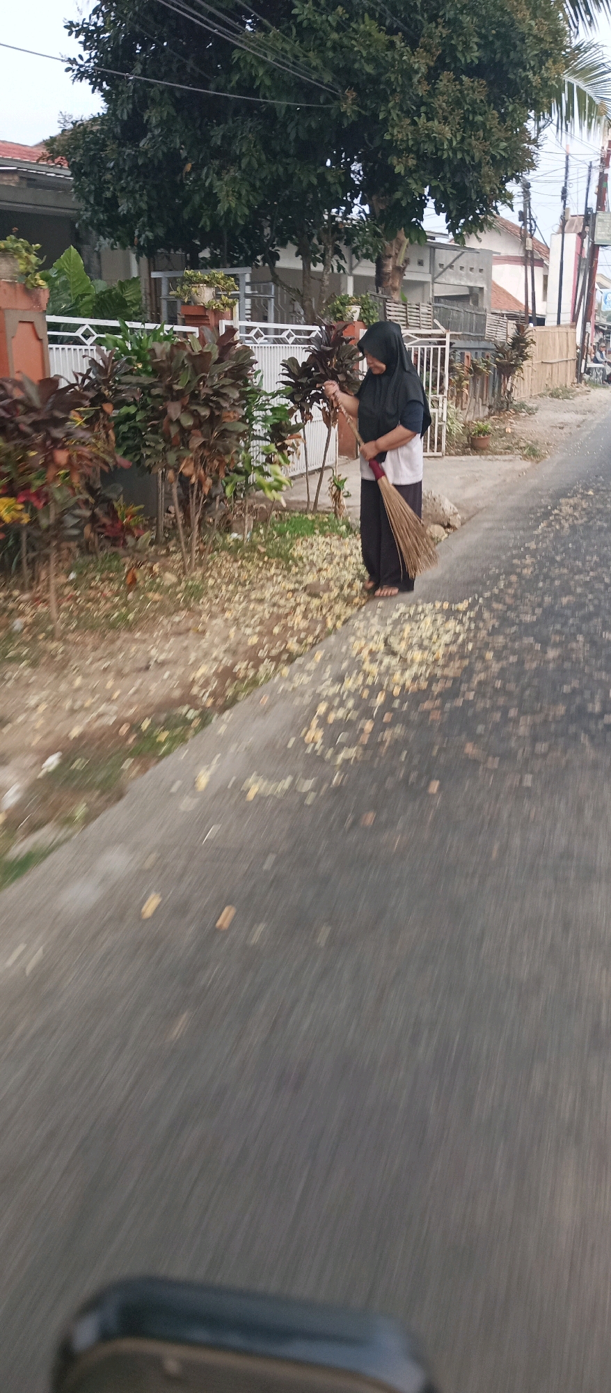 A woman wearing a black hijab and a white shirt over dark pants sweeps the side of a road with a broom. The road is paved and appears to be in a residential area. There are trees and plants on the left side of the road, as well as a white fence. The ground is covered with fallen leaves. The image is taken from a slightly elevated perspective, possibly from a moving vehicle, as indicated by the motion blur on the road and the lower portion of the image. The context of Subang, Indonesia is not directly evident from the visual information in the image itself.