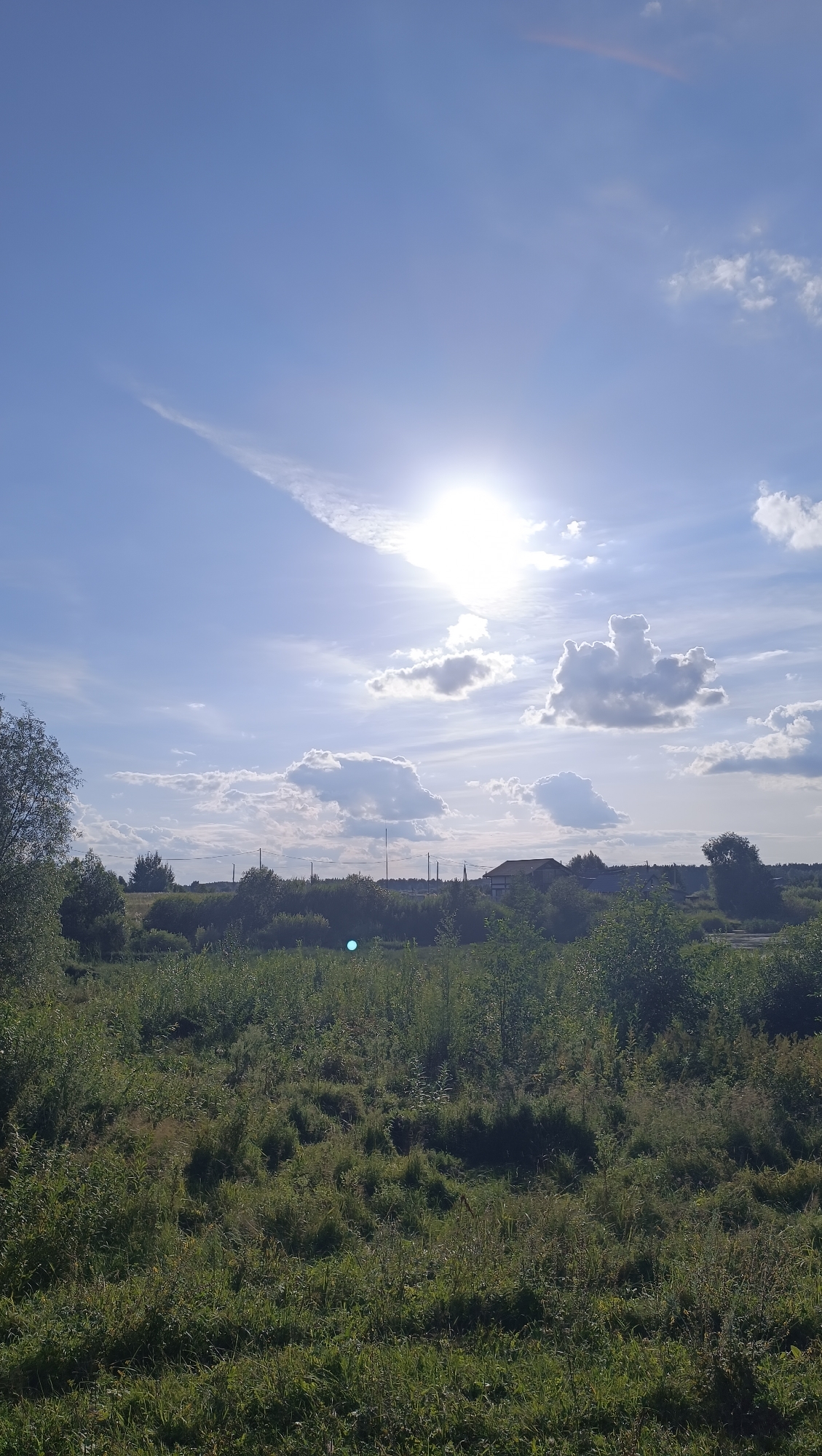 The image shows a sunlit sky with scattered clouds, casting bright light onto a rural landscape. The foreground is dominated by tall, green grass and various types of foliage, with some trees visible. In the middle ground, a line of trees and bushes extends horizontally across the frame, with a few structures, possibly houses and utility poles, appearing behind them. The sky is a clear blue, with the sun positioned high and to the right, creating a bright glare and illuminated clouds. The overall impression is a pastoral, open environment. There are no people or animals visible in the image. The location is described as Karsha, Russia, suggesting a rural or suburban setting within that area.