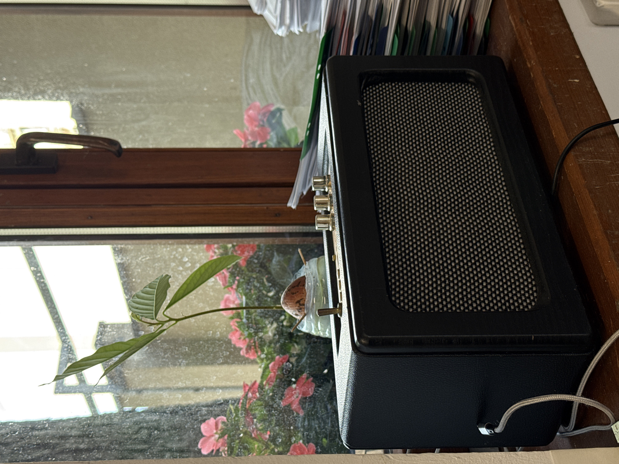 The image depicts a close-up view of a black portable speaker placed on a wooden windowsill. Behind the speaker, a young avocado plant is growing in a clear container, with its roots submerged in water. Pink flowers are visible in the background, through a dusty windowpane. To the right of the speaker, a stack of papers and folders is piled up. The scene appears to be indoors, possibly in an office or living space, with natural light filtering through the window. There are no people visible in the image. The photograph was taken in Łódź, Poland.