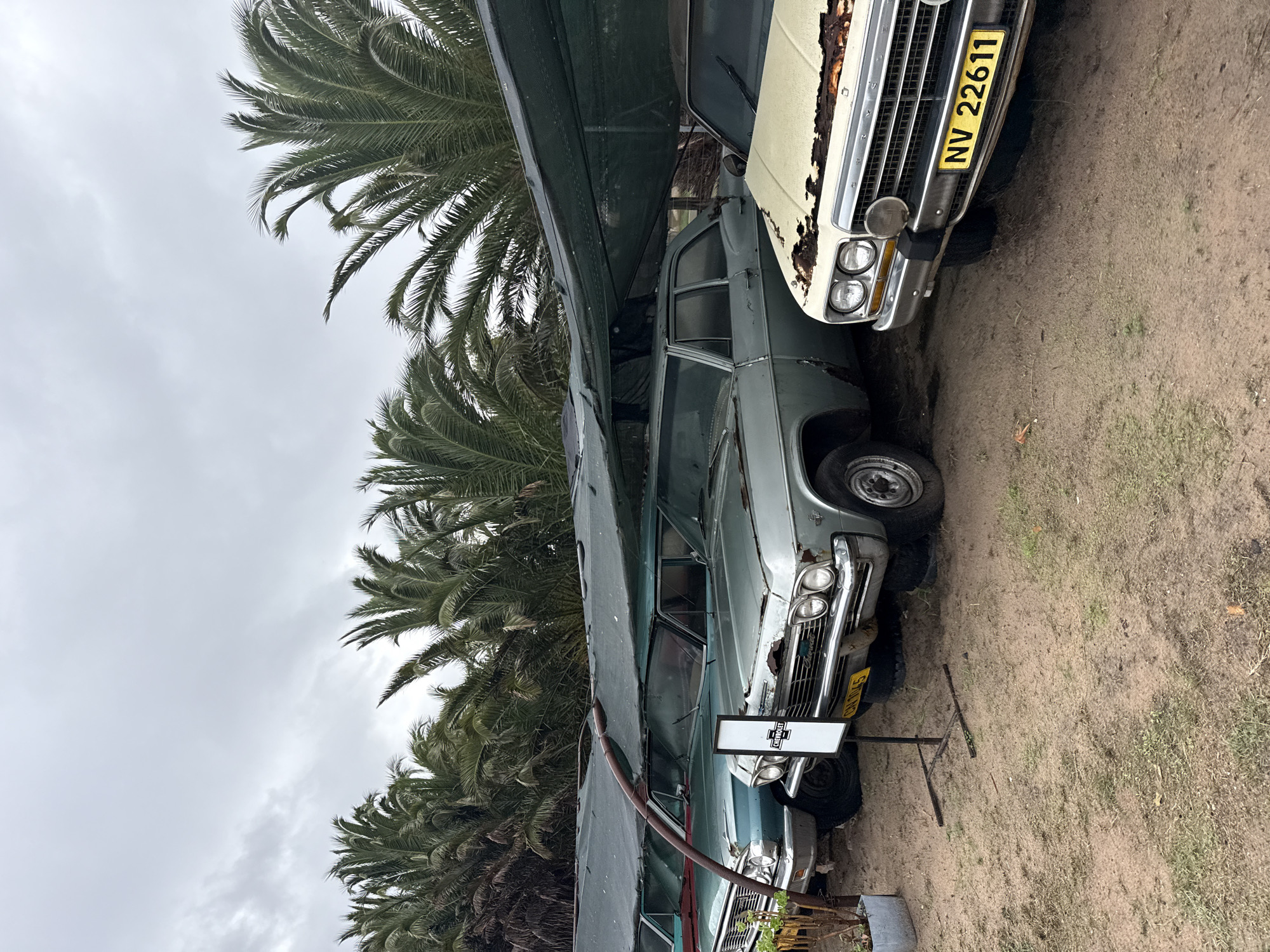 The image shows a scene in what appears to be a lot or yard in Kraaifontein, South Africa. Several old, weathered cars are parked under a corrugated metal structure, possibly a carport or makeshift shelter. Palm trees are visible in the background, and the sky is overcast. The cars appear to be in a state of disrepair, with visible rust and wear. License plates are visible on some of the vehicles. A sign bearing the Chevrolet logo is present near one of the cars. The ground is dirt or gravel with some vegetation. There are no people visible in the frame.