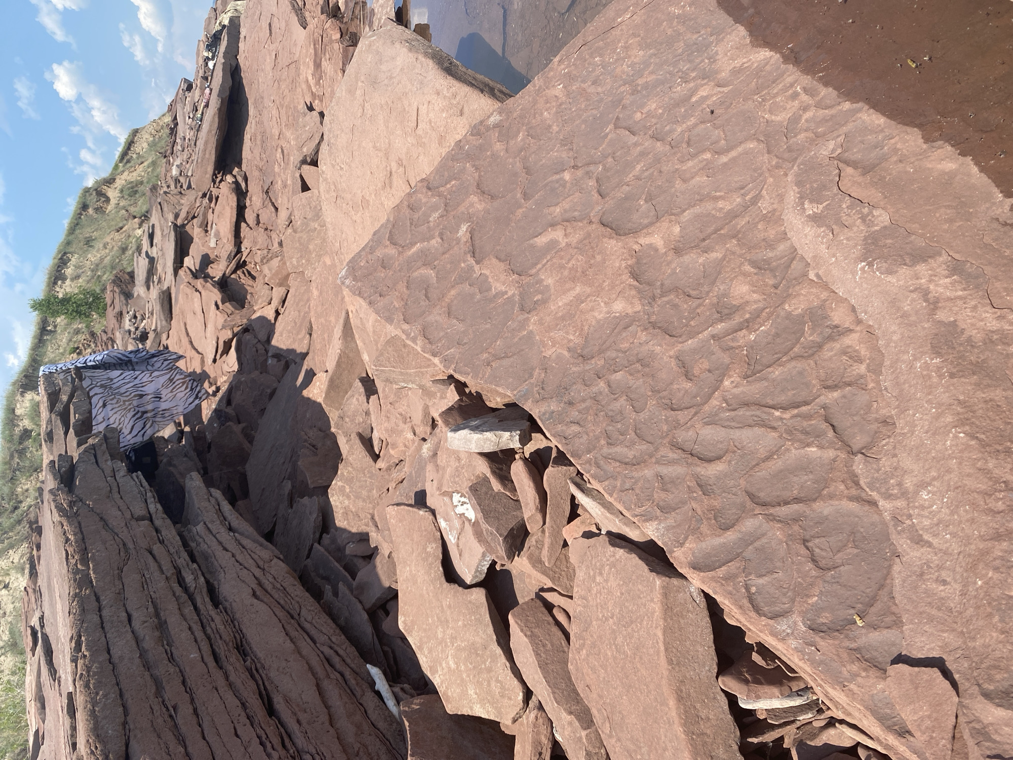 In Ust'-Erba, Russia, a landscape of large, flat, red rock formations occupies the foreground and middle ground. The rocks are layered and fractured, with some appearing to be broken into smaller pieces. Some rocks display textured surfaces with indentations and ridges. In the background, a grassy slope with a few trees rises towards a blue sky with scattered white clouds. A piece of fabric with a black and white zebra-like pattern is draped over some of the rocks on the slope. A small pool of dark water is visible on the right side of the image, reflecting the sky and surrounding rocks. The scene appears to be a natural outdoor environment.