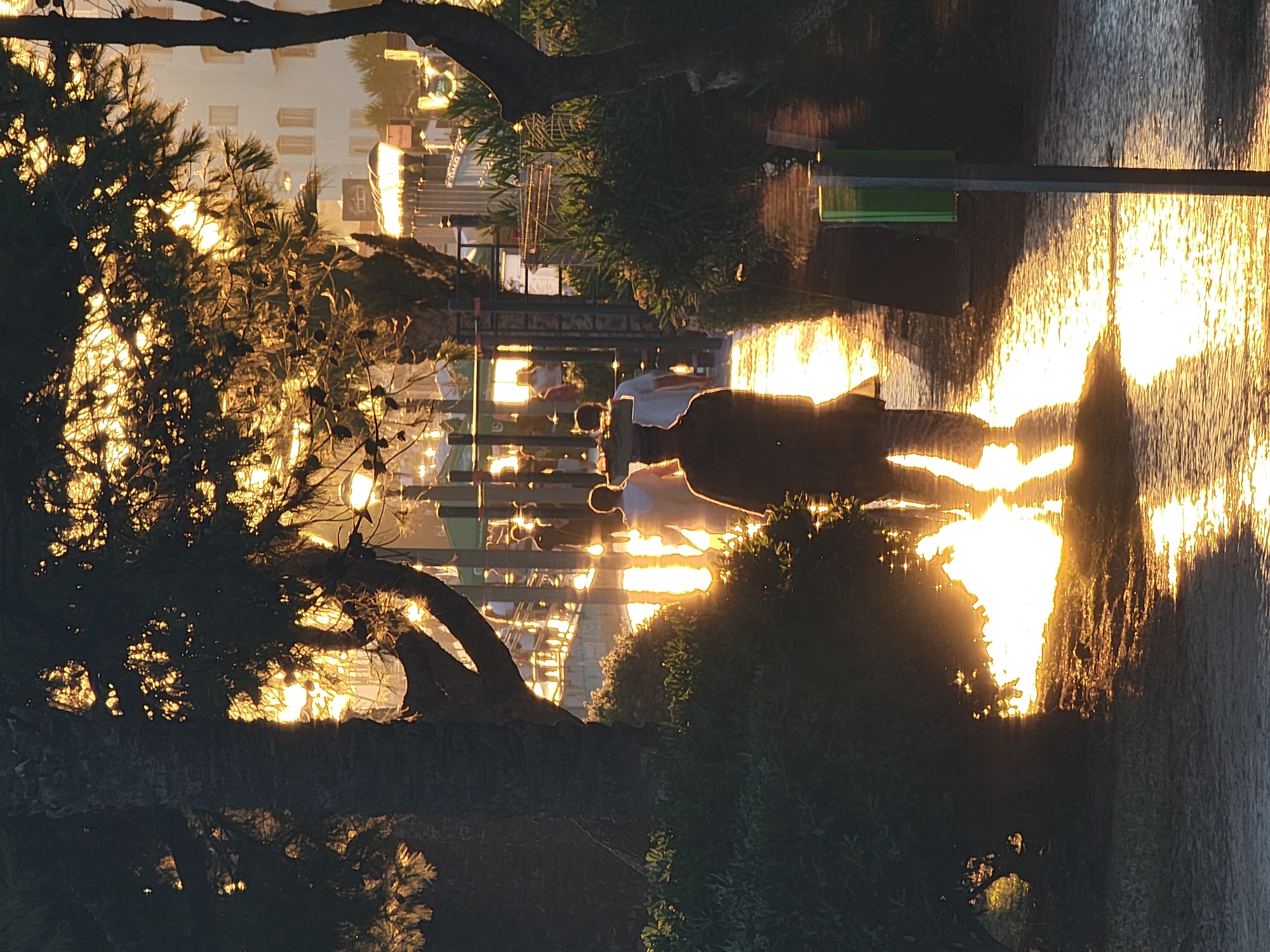 The image depicts a scene during sunset in Quarteira, Portugal, likely along the Avenida Francisco Sá Carneiro, also known as the Quarteira promenade. The setting sun casts a golden glow, reflecting intensely off a wet or polished surface, possibly the promenade itself or a tiled area. Silhouetted figures walk along the pathway, with the light obscuring their features and creating strong backlighting. In the foreground, lush green bushes line the path, partially obscuring a dark-clad individual who appears to be walking away from the viewer. Further down the path, two more figures are visible, one wearing a light-colored shirt. Trees with dark foliage frame the scene, with their leaves catching the sunlight. In the background, buildings with distinct window patterns are visible, suggesting an urban or resort environment. Streetlights are also present, their warm glow adding to the overall lighting of the scene. A green metal object, possibly a trash receptacle or signage, stands on a pole to the right of the pathway. The overall impression is one of a tranquil evening stroll in a coastal town, bathed in the dramatic light of sunset.