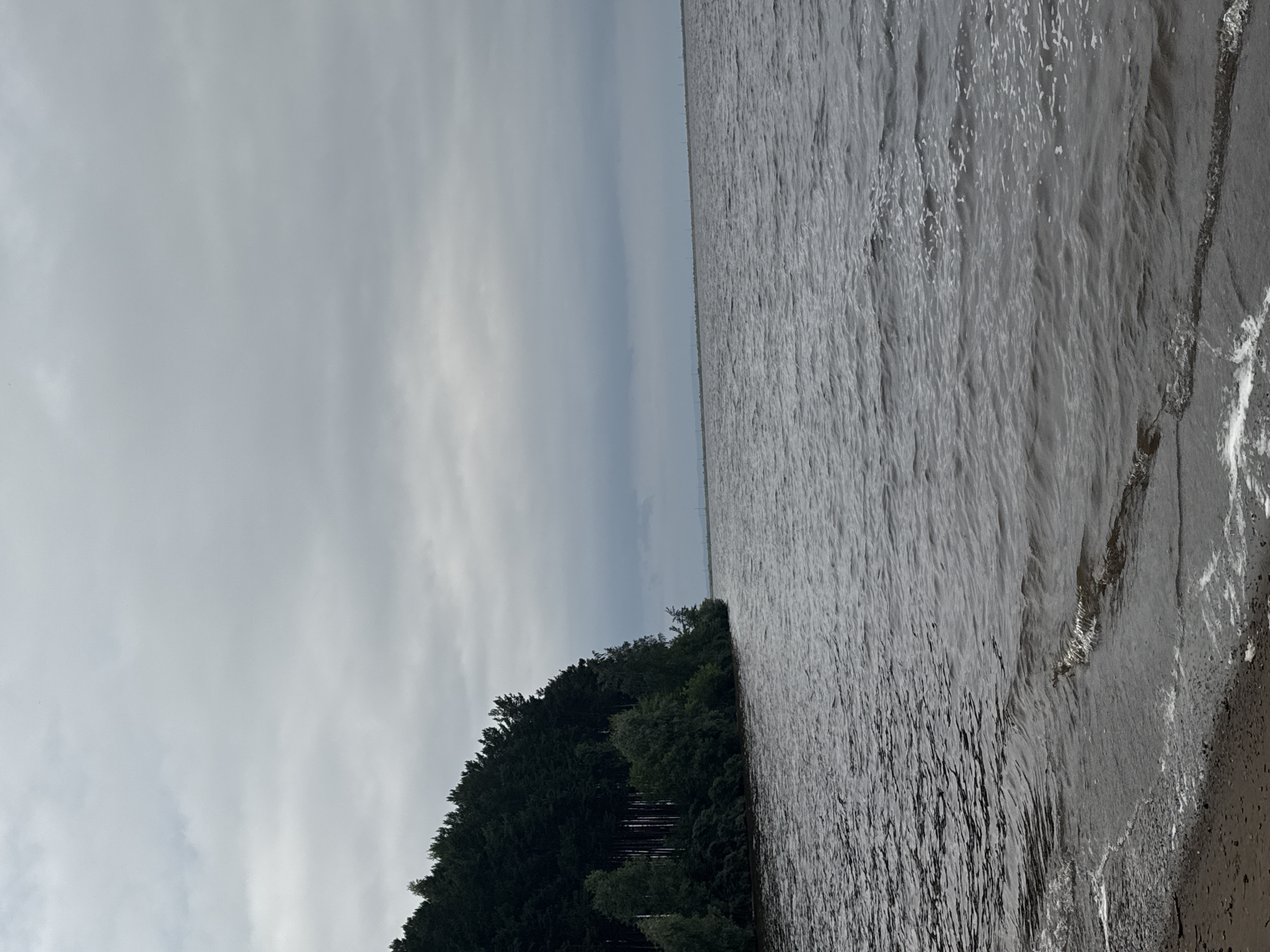 The image depicts a waterscape with a forest-covered embankment on the left and a body of water on the right. The sky is overcast with diffused light, suggesting a cloudy day, possibly late afternoon or early morning given the muted tones. The water appears choppy with small waves and ripples, indicating a light breeze. The embankment is dense with evergreen trees, creating a dark, textured contrast against the lighter sky and water.
In the distance, a faint line of what could be structures or trees stretches along the horizon where the water meets the sky, suggesting a vast expanse of water or a distant shoreline. The overall mood is serene and natural, with no human presence or man-made objects prominently visible besides the distant horizon line. The image is oriented vertically, with the sky occupying the top half and the water and embankment occupying the bottom half, which is an unusual perspective that may have been captured with the camera held at a ninety-degree angle. The scene is likely a natural setting, possibly a lake or a wide river, in a temperate climate given the presence of evergreen trees. There is no visible text in the image.