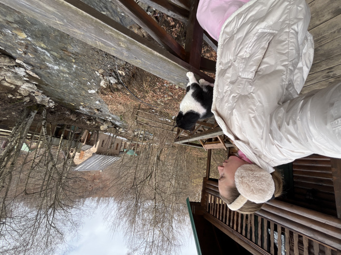 The scene is situated in Crkvine, Montenegro, portraying a female individual and a bicolored cat on a wooden balcony overlooking a river. The woman, positioned on the left, is seen in profile, wearing a light-colored (likely beige or off-white) puffer jacket, a pink garment underneath, and large, fluffy beige earmuffs. Her left arm is extended forward, holding a mobile device to capture a self-portrait. A black and white cat stands on the weathered wooden railing directly in front of the woman, oriented towards the distant landscape. The cat features a white chest, belly, and paws, with black fur on its back, head, and tail. Behind the woman, a log cabin structure is partially visible. Below the balcony, a moderately wide river flows rapidly over a rocky bed. On the opposite bank, a stone-faced building with a sloped, dark gray metallic roof stands amidst deciduous trees, which are largely bare of foliage, indicating a late autumn or winter season. Several smaller structures with green roofs are visible further along the riverbank. The background consists of densely wooded hills under an overcast sky.