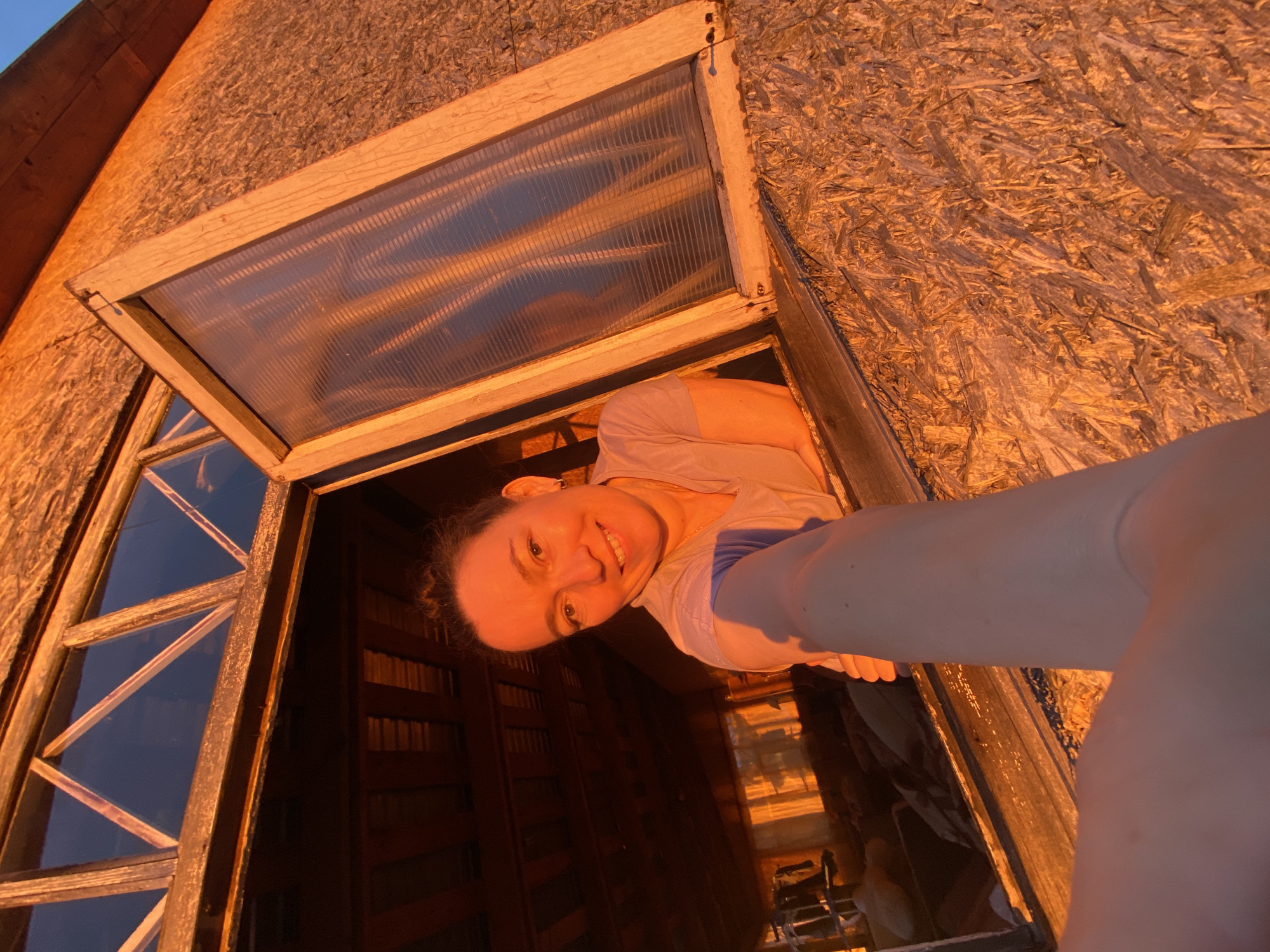 An upward-angled selfie captures a young woman smiling and looking directly at the camera, peering through an open window from inside a building. Her head is tilted, and she appears to have dark hair pulled back, wearing a light-colored top. Her arm extends into the frame, suggesting she is holding the camera.
The exterior of the building, visible on the upper left, is constructed from Oriented Strand Board (OSB) or a similar wood composite material, giving it a textured, rustic appearance. The window itself features a wooden frame with multiple panes, some appearing to be clear glass and others made of translucent, corrugated plastic.
The scene is illuminated by the warm, golden light of either sunset or sunrise, indicative of the "golden hour." This strong, orange-red light intensely bathes the exterior wall and the window frame, creating a striking contrast with the dimly lit interior of the building. The interior features dark wooden panels or slats in the background, with a chair or small piece of furniture faintly visible in the lower right. The clear, direct lighting suggests fair weather. The woman's joyful and engaging expression adds a cheerful element to the rustic setting in Ольховка, Russia. There is no visible text in the image.