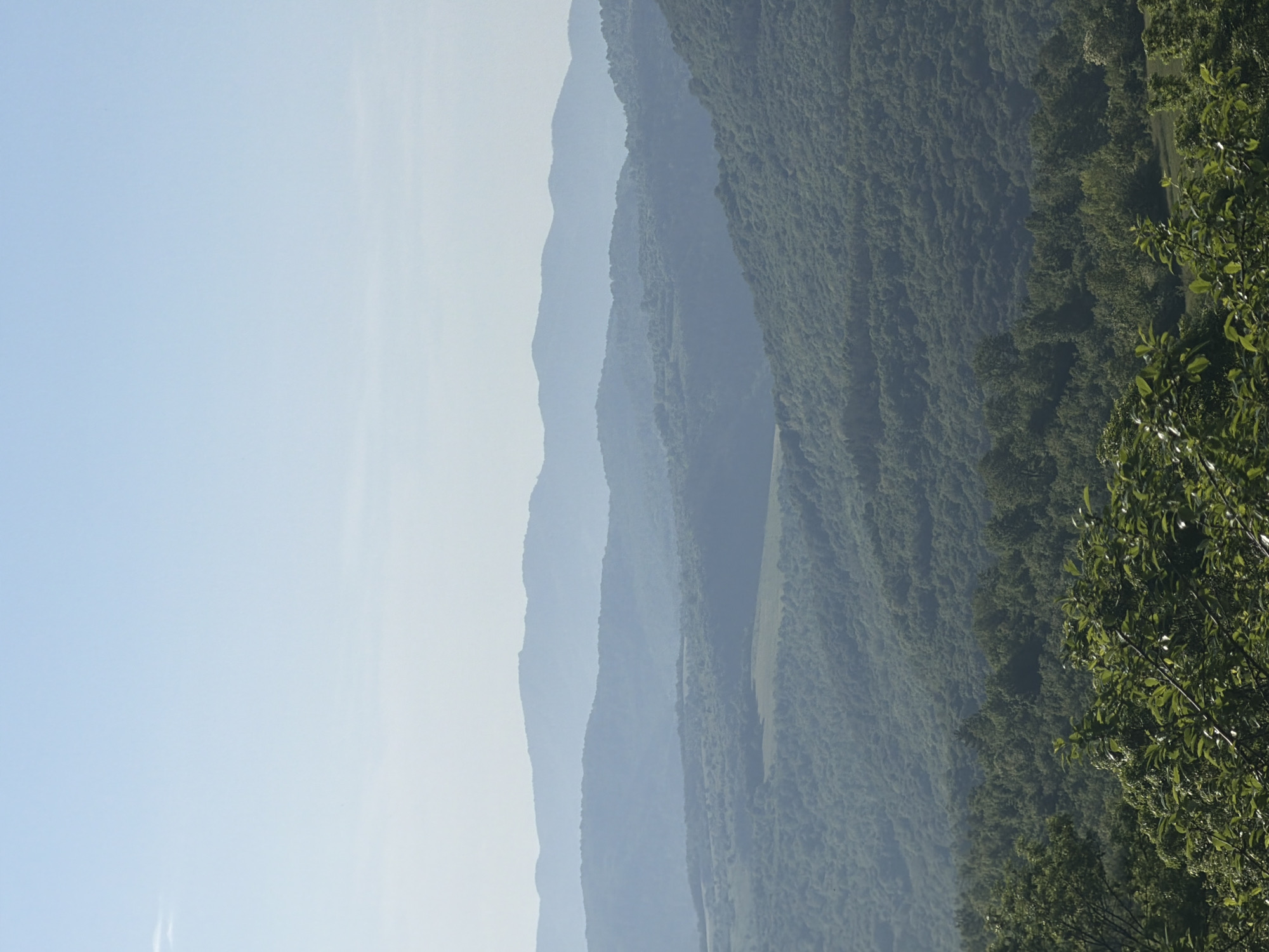 The image shows a layered mountain range extending horizontally. The leftmost part of the frame is dominated by a pale blue sky. To the right, progressively darker mountain ranges are visible, fading into the distance. The closest range is densely forested with green trees visible on the right. The image likely captures the landscape around Novogortsi, Bulgaria.