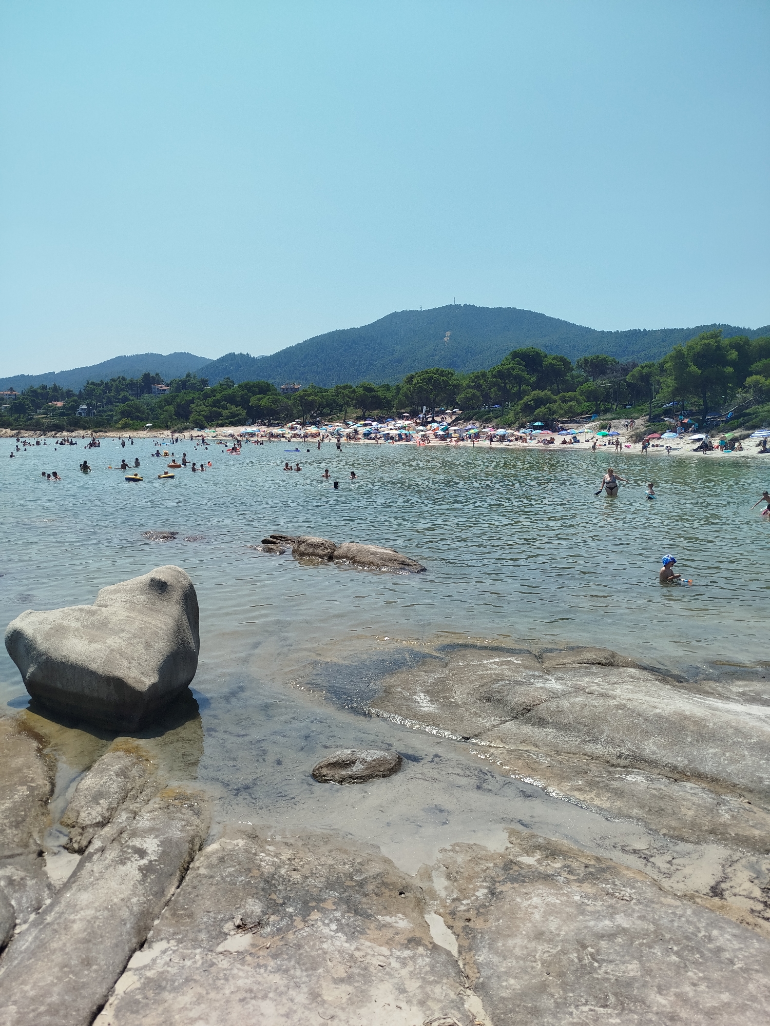 The image depicts a crowded beach scene under a clear blue sky in Sithonia Municipal Unit, Greece. In the foreground, large, weathered rocks emerge from the shallow, calm water, with a prominent heart-shaped boulder to the left. The water is transparent, allowing visibility of the sandy bottom and smaller submerged rocks. Further out, numerous people are engaged in various beach activities. Many are swimming, wading, and playing in the water. Some are utilizing inflatable flotation devices. In the middle ground, a sandy beach is lined with a dense arrangement of colorful umbrellas providing shade for beachgoers. People are visible relaxing on the sand and moving around. The background is dominated by a lush, green forested mountain range that slopes down towards the coastline. Scattered among the trees are glimpses of buildings, suggesting a developed coastal area. The overall impression is a vibrant and busy summer day at a popular seaside destination.
