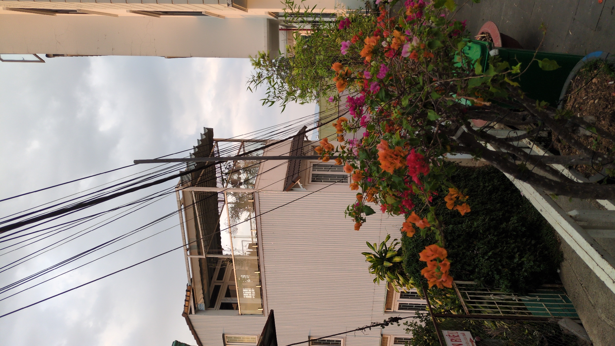 The image depicts a street scene in Da Lat, Vietnam. A three-story building with a corrugated metal exterior and a glass-enclosed balcony is visible. Numerous electrical wires run across the front of the building and into the sky. A flowering bougainvillea bush with orange and pink blossoms is prominent in the foreground. Green shrubbery is also visible, as well as parts of a concrete wall and a sign. A tall building is visible in the background and the sky is overcast with grey clouds.
