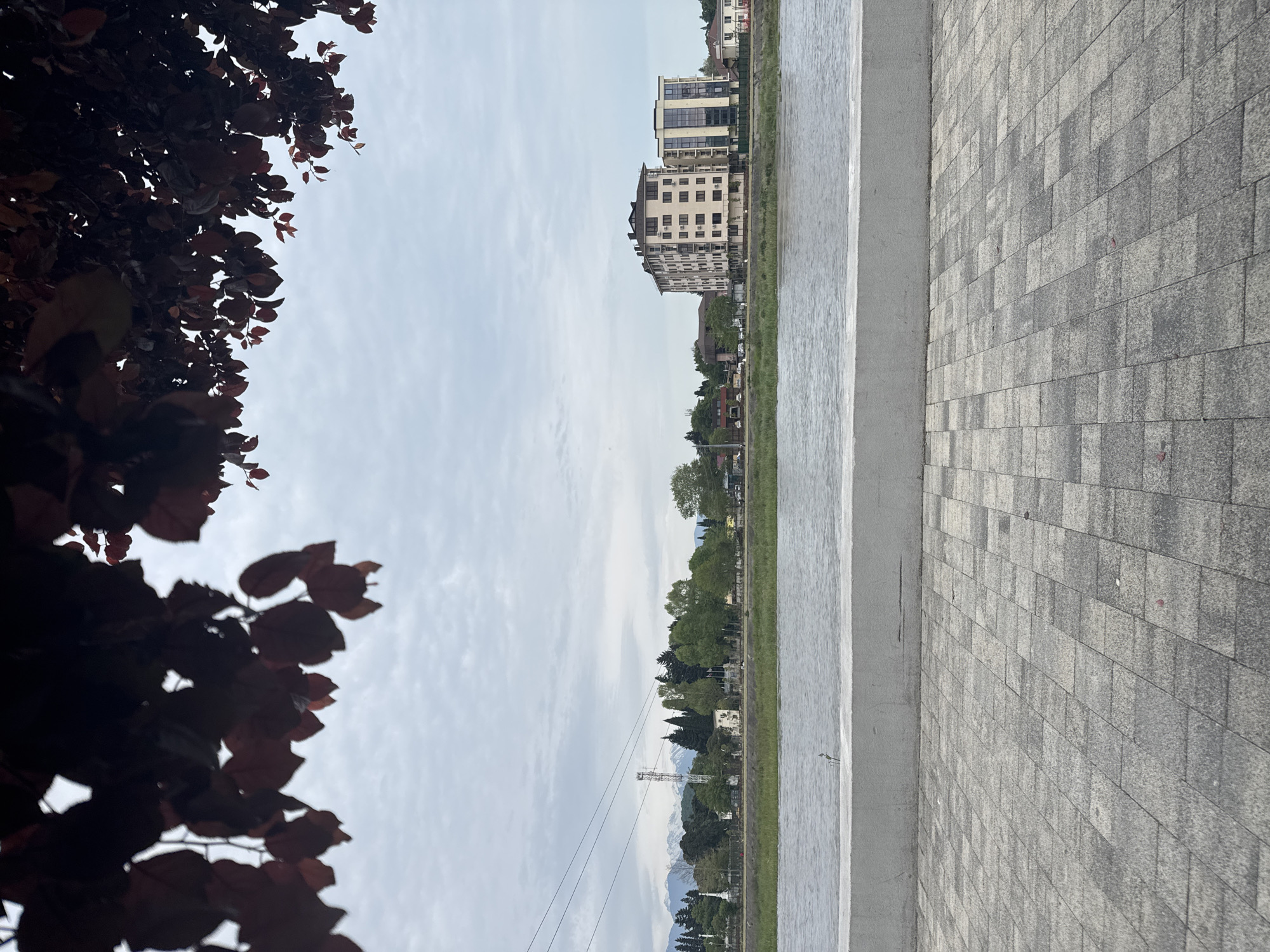 The image shows a view of the city of Sochi, Russia from a pedestrian walkway adjacent to a body of water, possibly a river or lake.
On the left side of the frame, dark reddish-brown foliage obscures part of the view. The body of water stretches across the middle ground, reflecting the sky. Beyond the water, there is a green bank with trees and buildings.
In the distance, there are several multi-story residential buildings. Further back, the foothills of mountains are visible against a cloudy sky. A power line runs across the scene.
The foreground consists of a grey tiled walkway with a raised curb. The image is taken from a low angle. There is no evidence of people or animals.