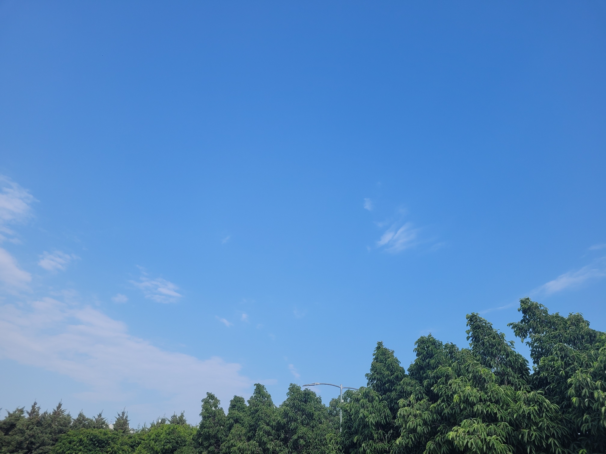 A bright, clear blue sky dominates the upper two-thirds of the image, with a few wispy white clouds scattered sparsely. Along the bottom edge, a dense line of lush green trees forms a natural barrier. The trees vary in height and density, with some appearing to be evergreens and others deciduous with full foliage. A single, modern streetlamp with a curved arm rises above the treeline in the center-right of the frame. The scene suggests an outdoor environment, possibly a park or the edge of a residential area, with no people or discernible activity. The overall impression is one of natural beauty under a serene sky.
