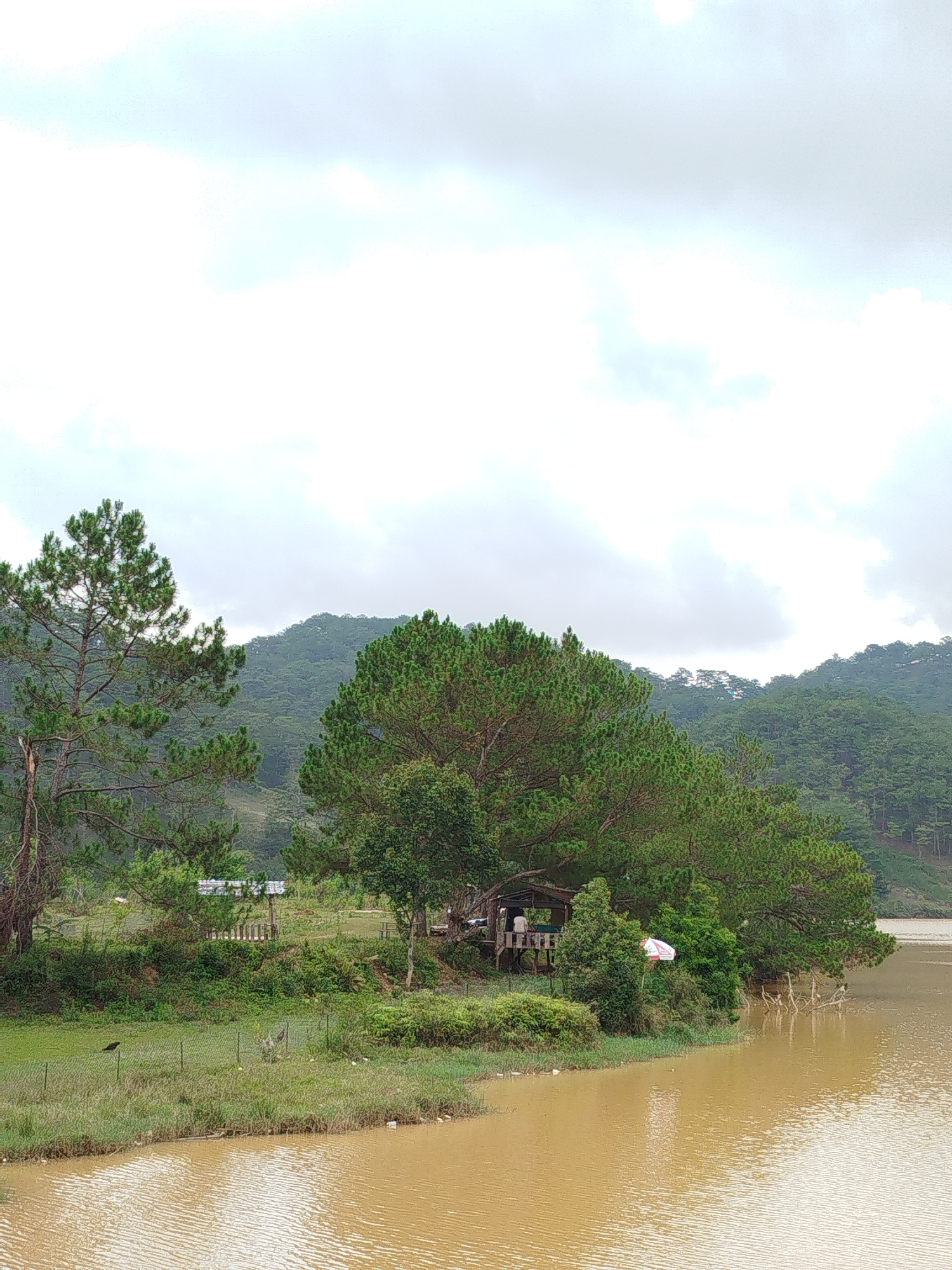 The image captures a landscape in Lang Biang - Da Lat, Vietnam. A murky lake dominates the foreground, contrasting with the green foliage of pine trees and vegetation lining its edge. A wooden structure, possibly a small hut or gazebo, is nestled amongst the trees near the water, with a couple of people visible inside. Behind this area, a grassy field stretches back toward a dense, green mountainous region. The sky is overcast, contributing to a muted, natural color palette. A small, striped umbrella is also visible.