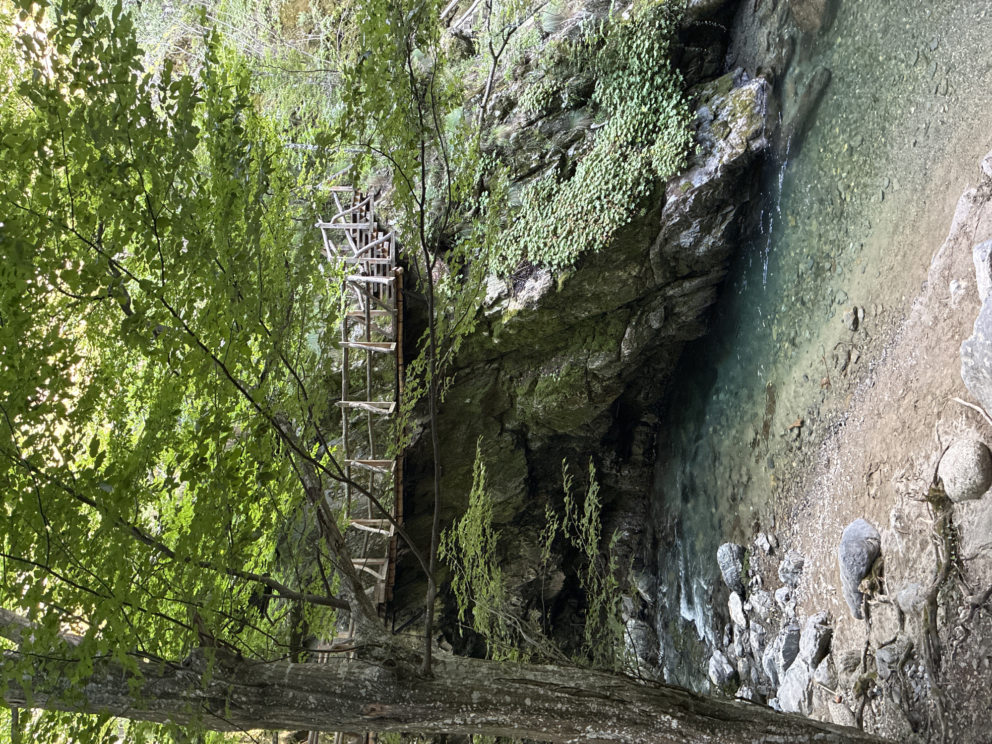 The image depicts a scenic view of a forest path and a river in the vicinity of Kalofer, Bulgaria. In the foreground, a large tree with textured bark stands to the left, its branches covered in lush green leaves forming a canopy overhead. Below the tree, a clear, shallow river flows over a bed of stones and sand, with several large rocks scattered along its bank.
A rustic wooden bridge, supported by wooden posts and railings, spans across a rocky gorge above the river. The bridge is constructed with wooden planks and appears to be part of a hiking trail. The rocky cliffs on either side of the gorge are covered in moss and dense green vegetation. Sunlight filters through the leaves, creating dappled light and shadows on the scene. The environment is natural and appears to be a well-maintained park or hiking area, possibly within the Central Balkan National Park, which is located near Kalofer and is known for its waterfalls, gorges, and hiking trails. There are no people visible in the image, and no objects that indicate specific activities beyond those related to nature and recreation.