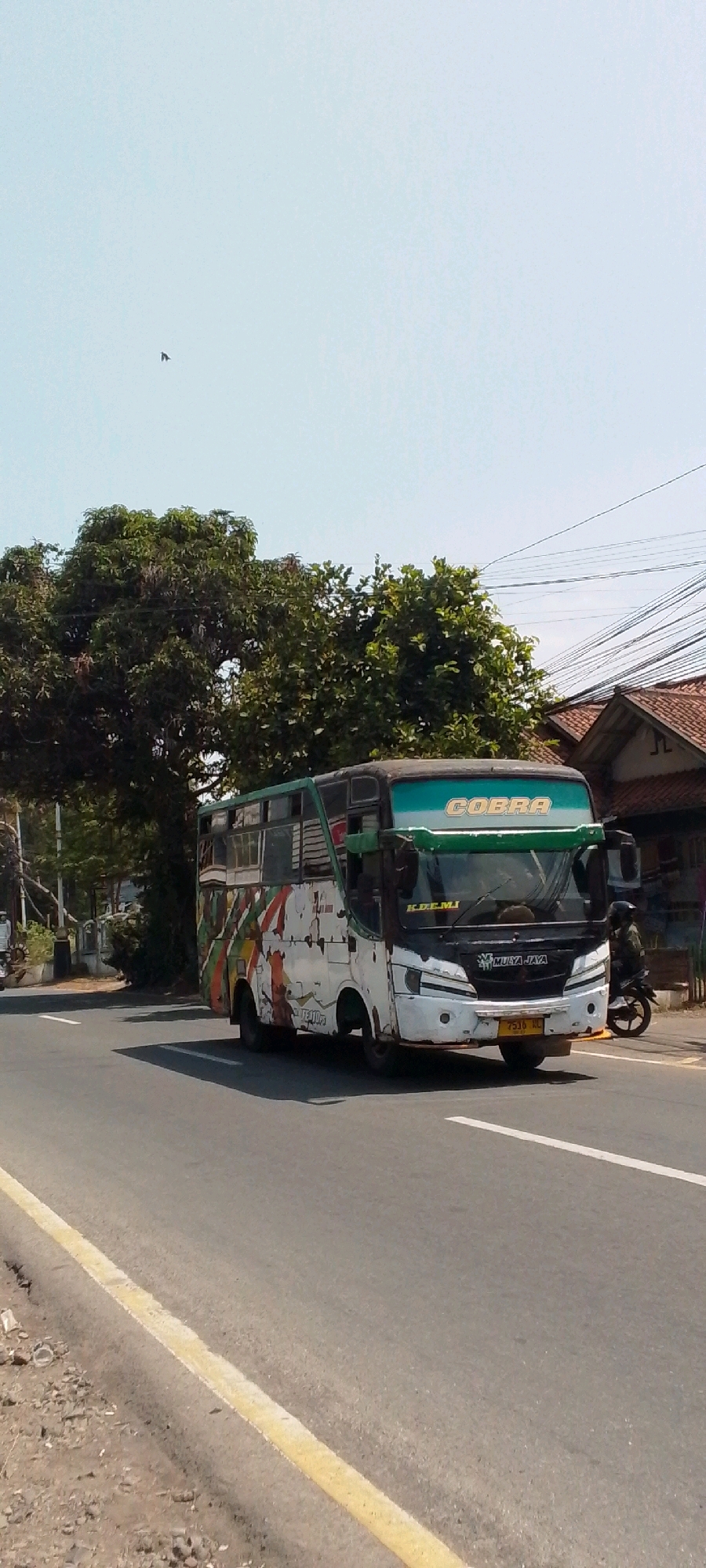 A white and black bus with "COBRA" written in yellow on the front is traveling on a paved road in Cilaku, Indonesia. The bus has a green trim and a colorful, abstract design on its side. The bus is dirty and appears to be in poor condition. The road has a yellow line painted on the left side and a white line painted on the right side. There is a motorcycle with a rider wearing a helmet to the right of the bus. In the background, there are trees and houses. The sky is clear and blue.