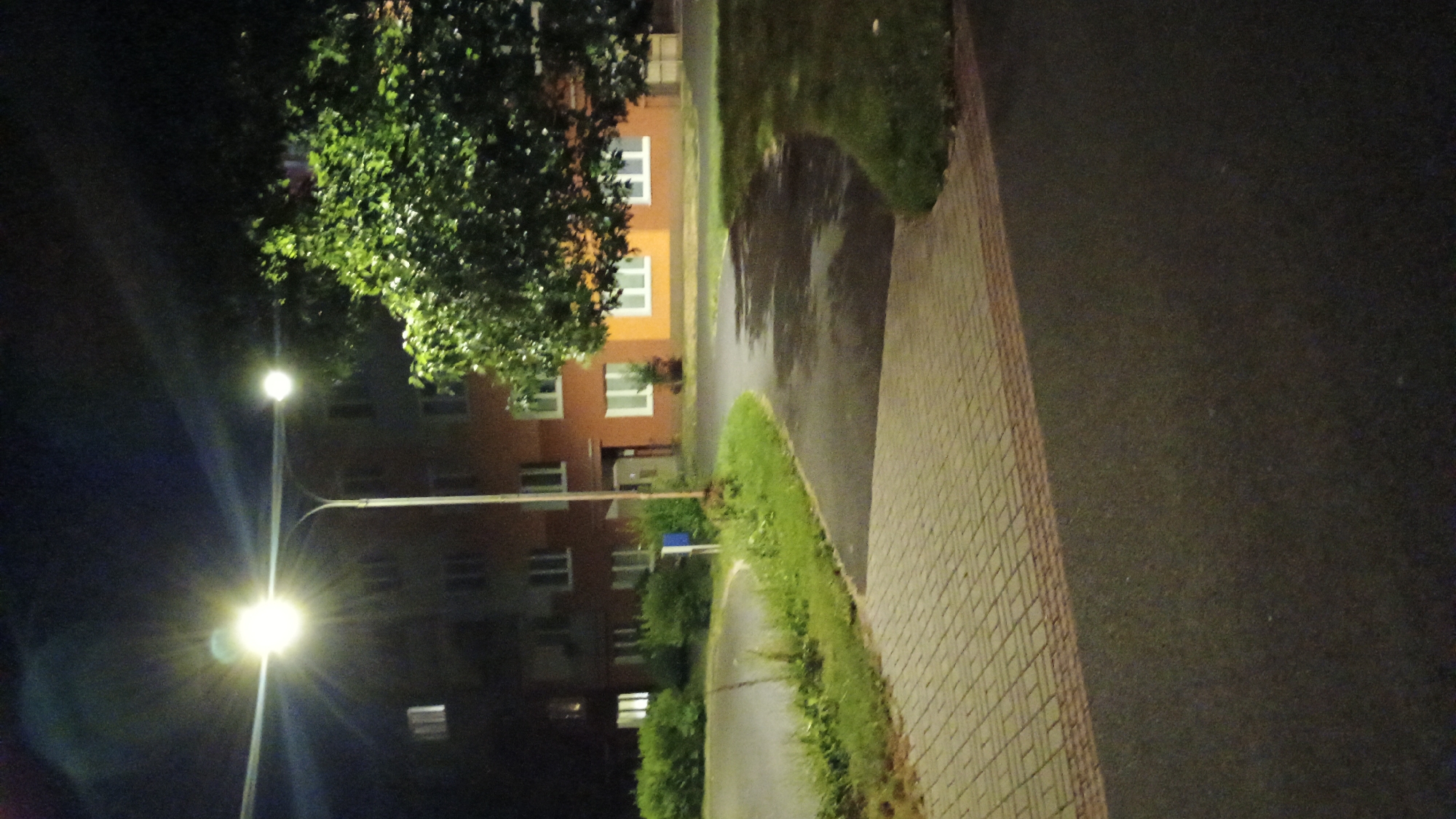 The image depicts a nighttime scene on a paved area with a brick walkway bordering it. In the background, a multi-story building with orange and yellow facades and numerous windows is visible. A street lamp with two lights illuminates the scene. To the right, a large tree with dense green foliage is present, its leaves catching the light. Wet patches are visible on the asphalted area, suggesting recent rain. The environment appears to be an urban or suburban residential area. The image was captured in Sokolov, Czechia. There are no people visible in the frame.