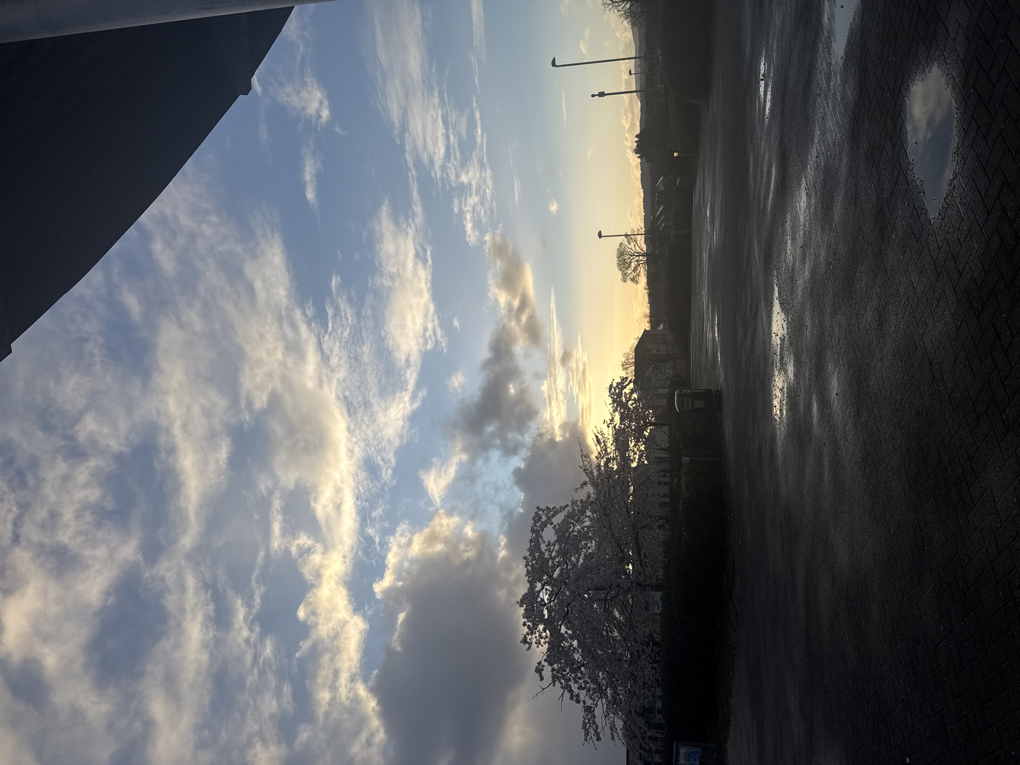 The image captures a scene in an urban environment, with a view encompassing a dramatic sky and a paved surface.
The sky features a blend of blue patches and varied cloud formations, including thin, wispy clouds and darker, more substantial cloud masses. Sunlight filters through the clouds, creating a warm, yellowish glow near the horizon.
Below the sky, a silhouette of trees and buildings is visible. A cherry blossom tree in full bloom is prominently featured, its light-colored flowers contrasting against the darker backdrop.
The foreground is dominated by a wet, paved surface, likely a sidewalk or parking area. Reflections of the sky and surrounding structures are visible in puddles of water on the pavement. The pavement appears to be made of dark bricks or tiles. The location in the city of Unknown, Unknown is not discernible from the image.