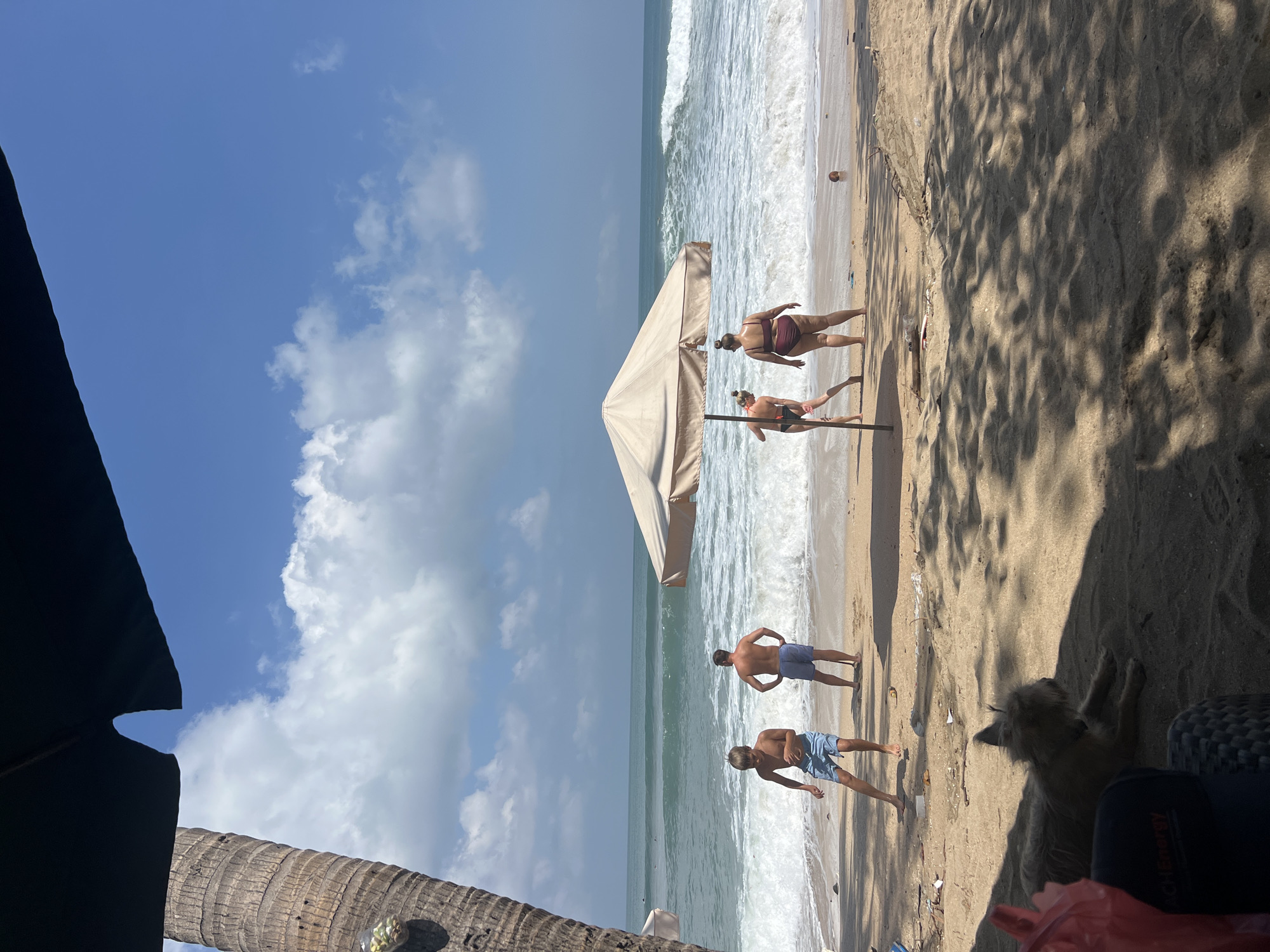 In Kuta, Indonesia, a serene beach scene unfolds under a bright, cloudy sky. A group of four individuals, two adults and two children, are enjoying the shore. One child, a boy in blue shorts, is positioned on the left, looking towards the ocean. Beside him stands a man in similar blue shorts, facing away from the camera with his hands on his hips. To the right, under a large beige umbrella, two women are present. One, in a dark bikini, faces away from the camera, while the other, in a burgundy bikini, also faces away. The ocean is active with moderate waves crashing on the sandy beach, which is dotted with scattered debris. In the foreground, a tan-colored dog rests on the sand, partially shaded by palm fronds. A red plastic bag and a black baseball cap are visible nearby. The scene is captured from a low angle, suggesting the photo was taken from a seated position.