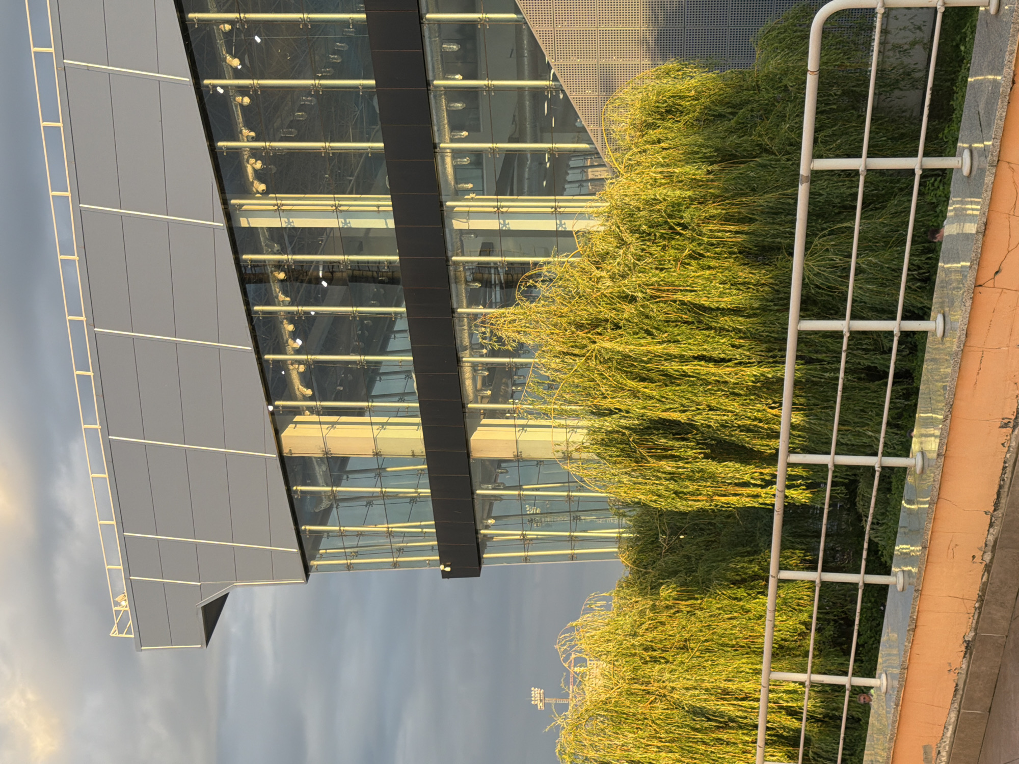 An outdoor, eye-level, full shot captures a modern building with a glass facade partially obscured by weeping willow trees. The building has a grey upper section and a darker band below the glass. The glass exterior reflects golden light, highlighting vertical support columns and interior lights. A white railing with horizontal bars runs along the foreground, separating a concrete walkway from the trees. The sky above is cloudy with patches of sunlight. In the background, a distant industrial structure with lights is visible. Two small figures are visible standing on a railing at the top of the building.