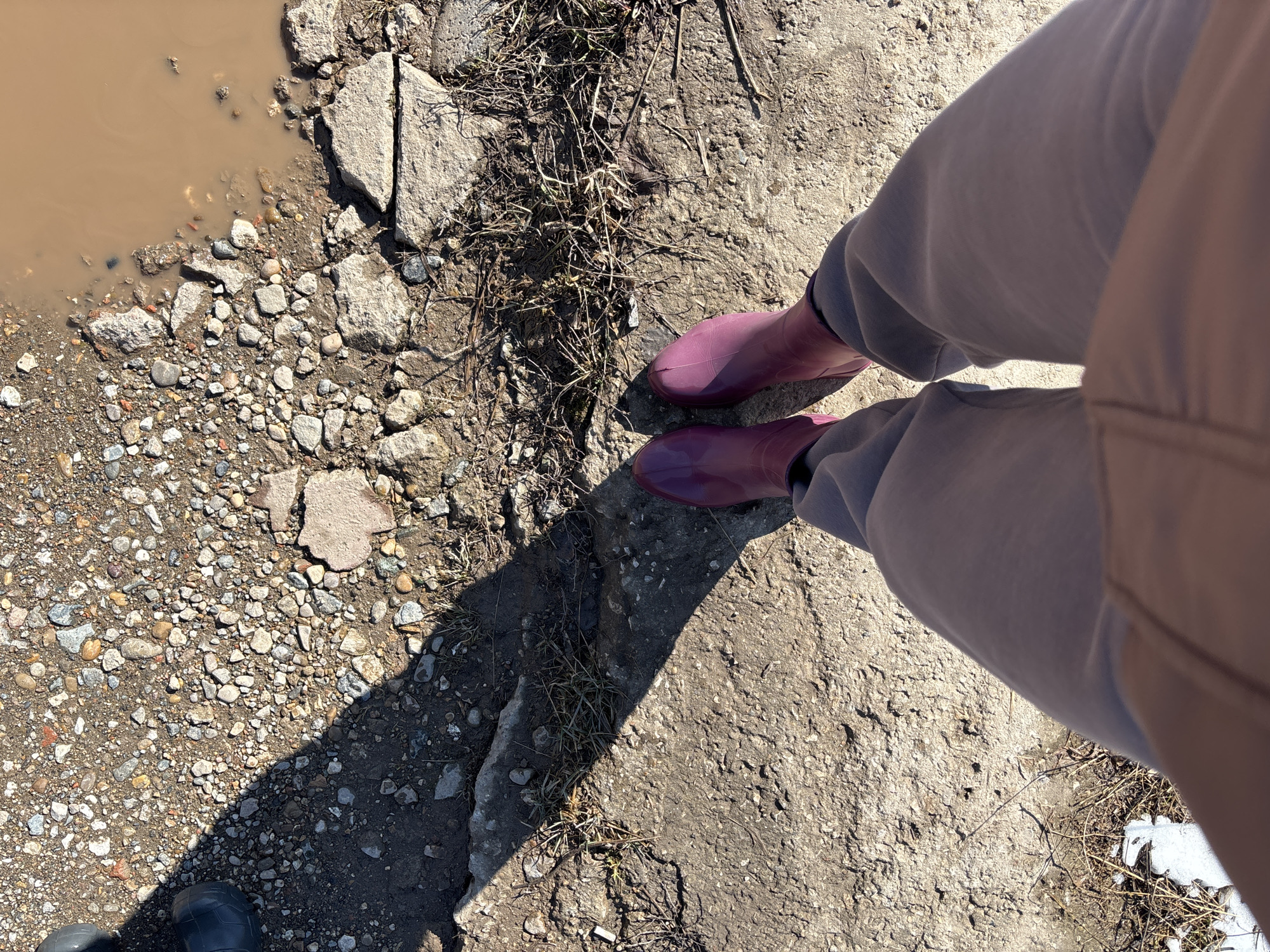 The image shows a person wearing pink rubber boots standing on cracked concrete. A muddy puddle is visible to the left, bordered by small rocks and larger chunks of concrete. Dry grass and weeds are scattered around the concrete and rocks. A partial view of another person wearing dark-colored rubber boots is seen in the lower left corner. The person wearing pink boots is wearing light grey or beige pants. The location is unknown. Ferma, Russia is not visually verifiable.