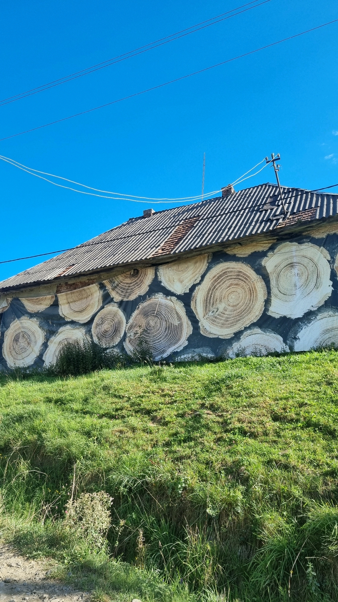 The image shows a building with a mural of tree rings painted on its side. The building has a gray, corrugated roof and is situated on a grassy hill. The sky is clear blue, and power lines are visible in the upper portion of the image. The mural is designed to resemble large cross-sections of tree trunks, with varying sizes and circular patterns. The lower part of the image shows a grassy slope with some sparse vegetation. The scene is outdoors and appears to be in a rural or semi-rural setting.