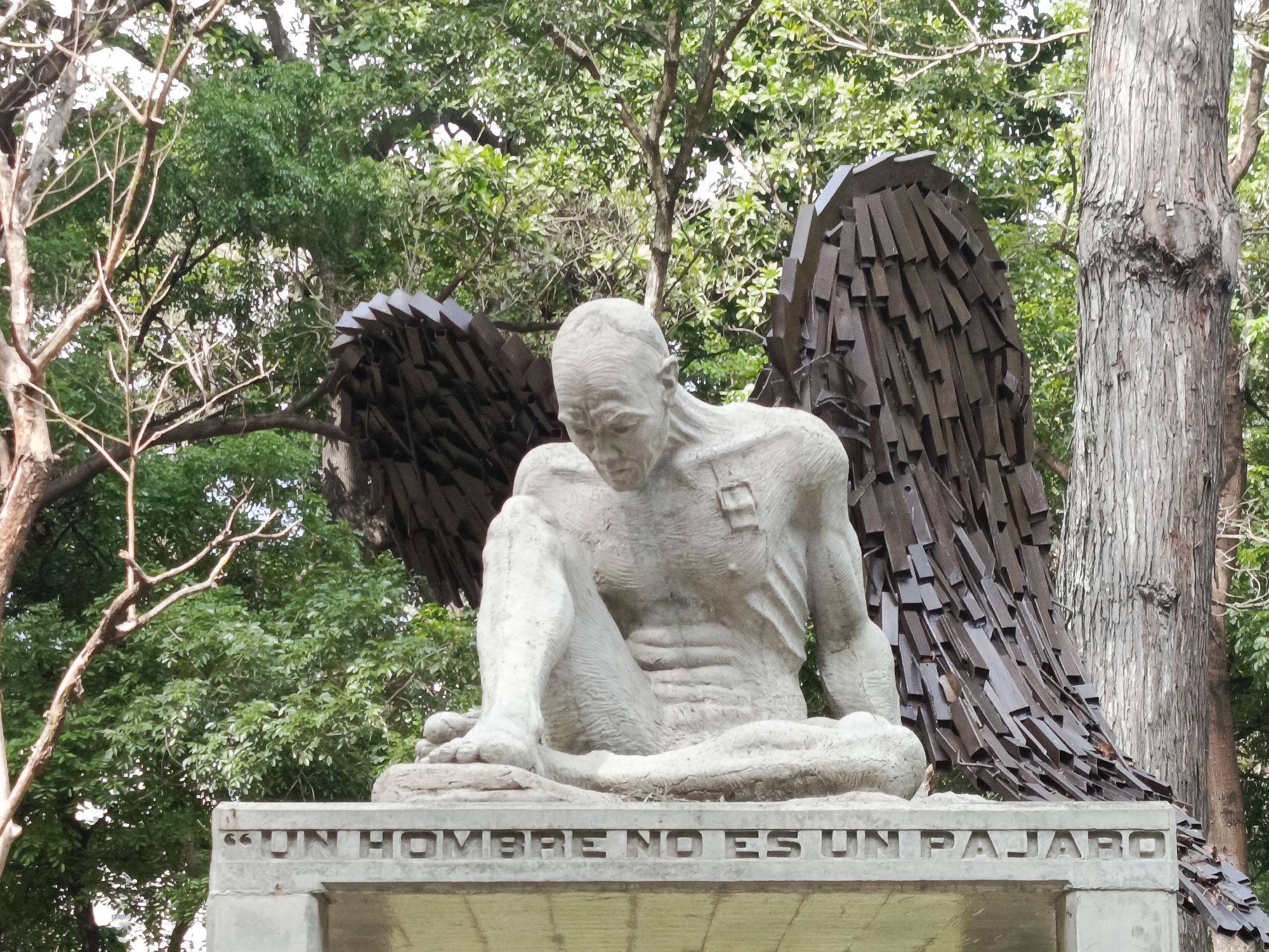 A striking sculpture featuring a seated, bald, and muscular male figure with large, metallic wings is prominently displayed outdoors. The statue, made of light-colored stone, depicts the man looking downwards with a contemplative or somber expression, his body showing visible musculature and veins. His left leg is bent at the knee with his foot flat on the base, while his right leg is folded underneath him. Attached to his back are two substantial wings crafted from numerous overlapping, dark, rectangular metal pieces, resembling feathers but with an industrial aesthetic.
The statue rests on a sturdy, light-colored stone pedestal or base. Carved into the front of this base, in capital letters, is the Spanish phrase: "UN HOMBRE NO ES UN PAJARO", which translates to "A MAN IS NOT A BIRD."
The background is dominated by lush green foliage from several large trees, indicating a natural, park-like setting. One prominent tree trunk with textured, light-colored bark stands vertically to the right of the statue, providing a natural contrast to the artificial elements of the sculpture. The scene is well-lit by natural light, suggesting it is daytime. The overall impression is that of a powerful yet introspective artwork situated within a serene environment in Caracas, Venezuela.