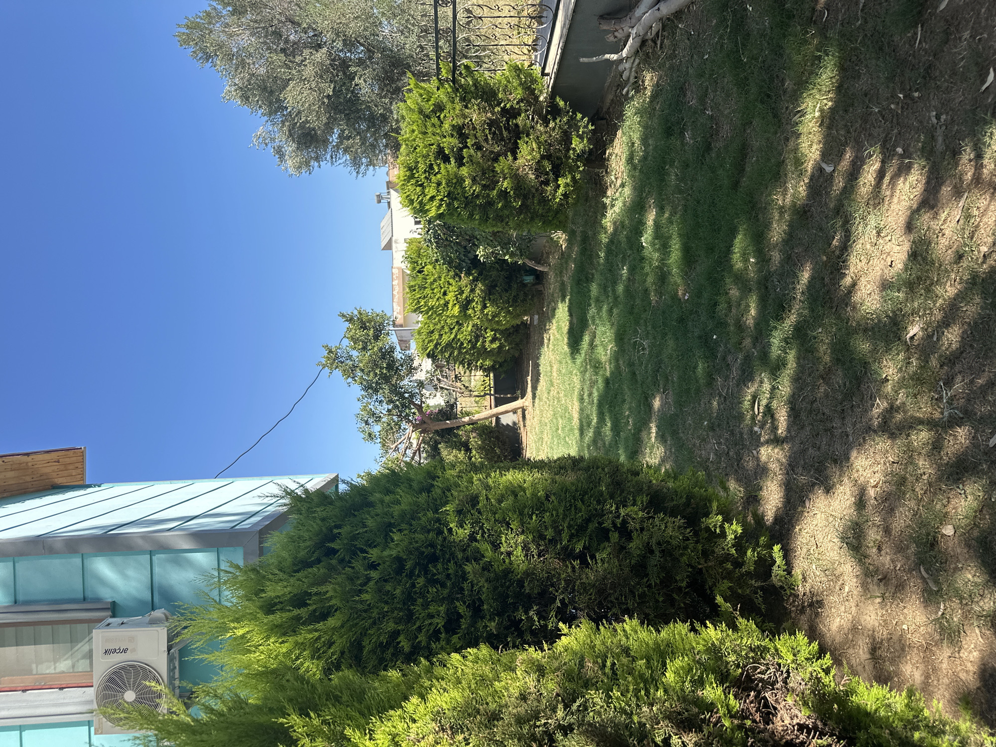 The image shows a backyard scene on a sunny day. In the foreground, two large, green cypress trees are visible on the left. The ground is covered with grass and patches of dry earth, with shadows cast by the trees and other unseen objects. Behind the cypress trees, a pathway leads into the yard, lined with more manicured bushes. A decorative metal fence runs along the right side of the yard, bordering a wall. In the background, several houses with tiled roofs and an olive tree can be seen under a clear blue sky. An air conditioning unit is mounted on the turquoise-colored exterior wall of a building on the far left.