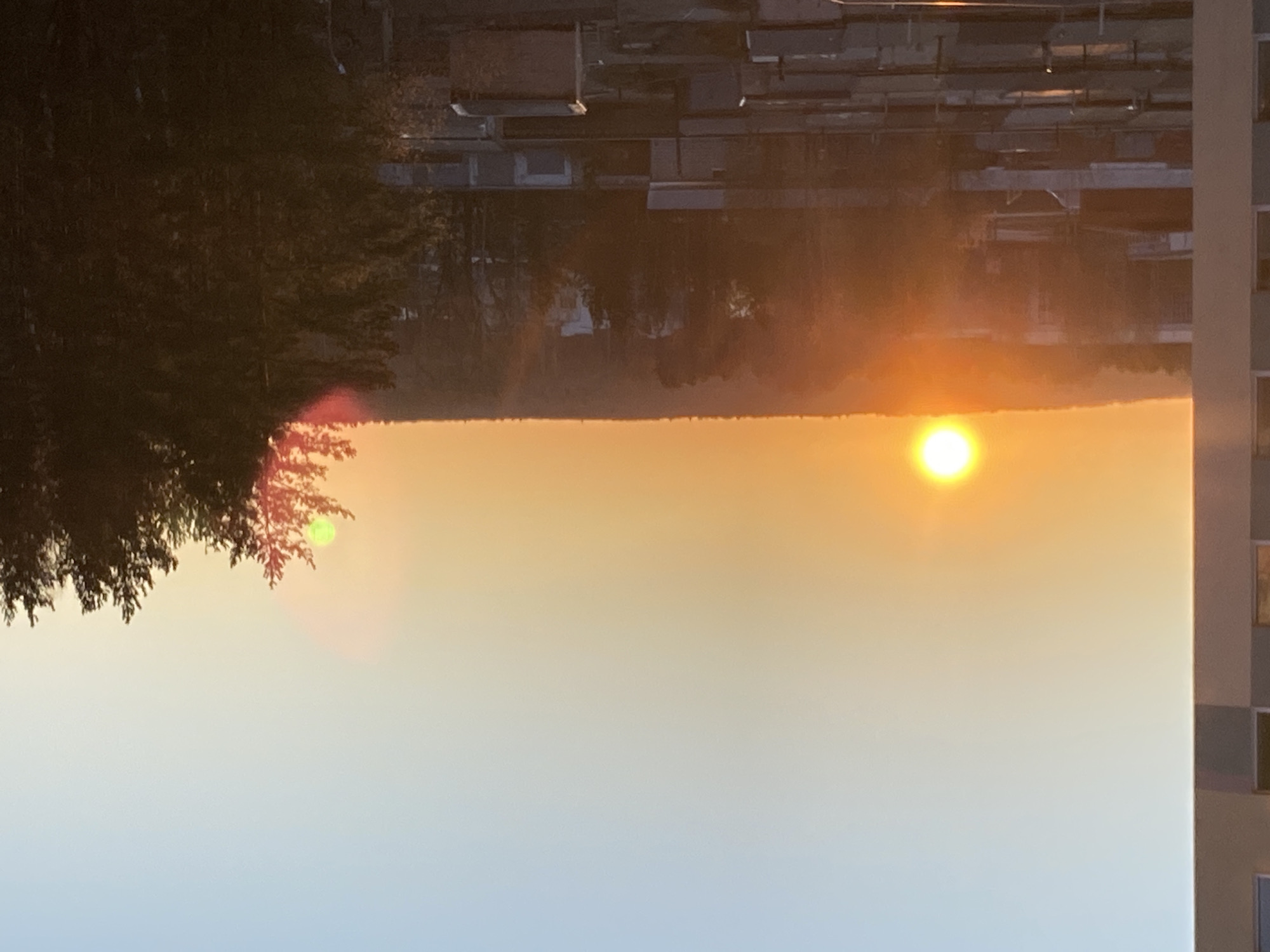 The image, oriented correctly, displays a serene landscape scene captured during either sunrise or sunset over Chaikovsky, Russia. The sky is dominated by a brilliant, spherical sun positioned towards the upper right, casting a strong golden-orange glow that extends across the upper half of the frame and gradually fades into a lighter blue-grey tone towards the bottom.
A dense, dark forest line forms the distant horizon, appearing as a silhouette against the vibrant sky. In the left foreground, a cluster of tall, dark evergreen trees (likely pines or spruces) fills a significant portion of the frame, also largely silhouetted. A subtle green lens flare is visible near the upper part of these trees, and a smaller, reddish-orange flare is present lower down.
In the upper background, dark, indistinct structures that appear to be residential or industrial buildings are visible, partially lit by the low sun. A vertical architectural element, possibly a building wall or pillar, occupies the far right edge of the frame. The overall weather appears clear, with no clouds obscuring the sun. No text is visible in the image. The scene evokes a sense of calm and natural beauty.