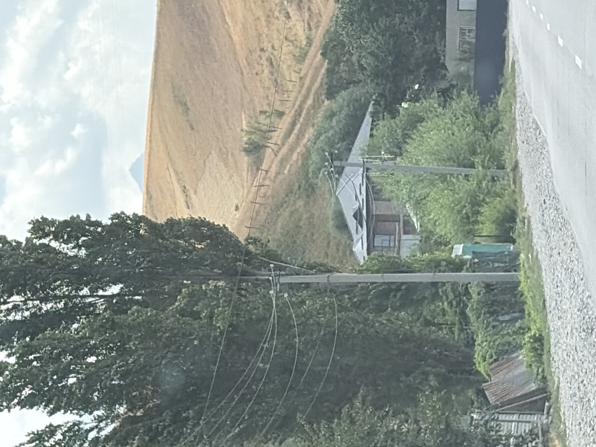The image shows a rural landscape with a road in the foreground. Tall, leafy trees line the left side of the road, with a utility pole and power lines visible. Further back, a two-story house with a dark, sloped roof is nestled amongst greenery. Beyond the house, a dry, grassy hillside slopes upwards, dotted with sparse vegetation and a wire fence. In the distance, a hazy, triangular mountain peak is visible against a cloudy sky. The ground beside the road is covered in gravel.