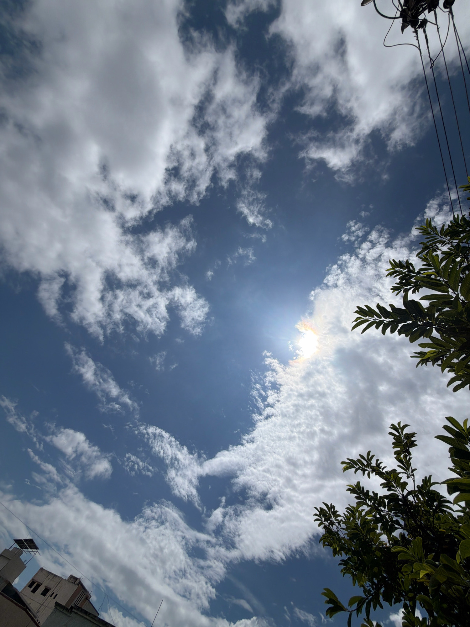 A low-angle shot captures a dynamic sky with scattered white clouds against a deep blue backdrop. The sun is partially obscured by clouds, creating a bright halo effect with iridescent colors. In the foreground, the dark green foliage of a tree occupies the right side of the frame, its leaves silhouetted against the sky. The upper right corner reveals electrical wires and a utility pole. The bottom left corner shows the upper portion of a building with solar panels on its roof, indicating an urban environment. The overall scene suggests a bright, possibly sunny day in a city like Sinnar, India, with a blend of natural and man-made elements.