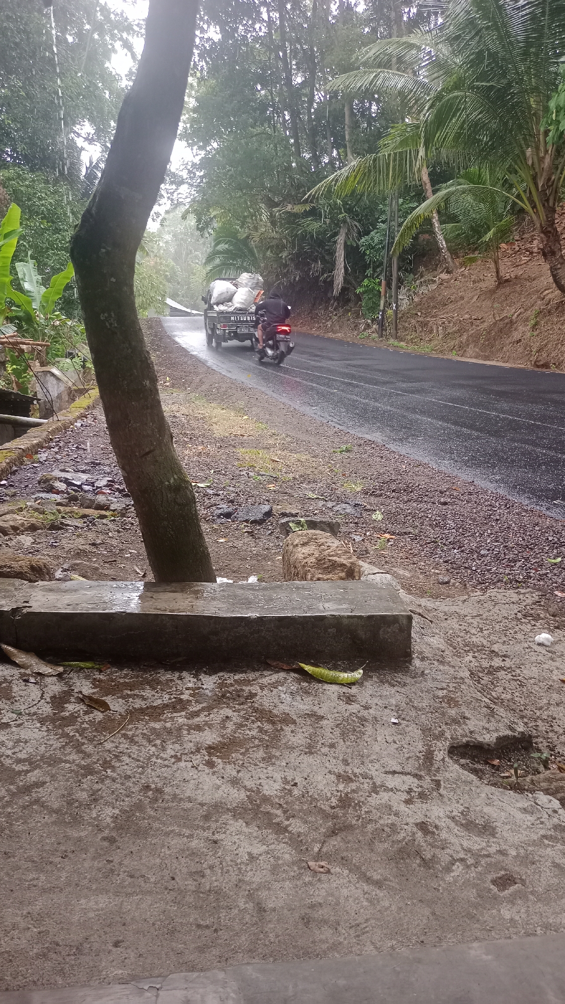 A misty, overcast day in Singkir, Indonesia, where a small truck laden with large sacks of goods is being followed by a motorcycle on a wet, asphalt road that curves through a lush, green landscape. The truck, a Mitsubishi brand, is partially obscured by the sacks, but its license plate is visible. The motorcycle rider, wearing dark clothing, is traveling behind the truck. The roadside is bordered by dense vegetation, including banana trees and palm trees, with a large tree trunk dominating the left foreground. A concrete structure, wet from the rain, is positioned in the foreground, with a few fallen leaves and a green pod on its surface. The ground appears muddy and uneven, with rocks and debris scattered around. The overall atmosphere suggests a humid, tropical environment, likely during or after a rain shower.