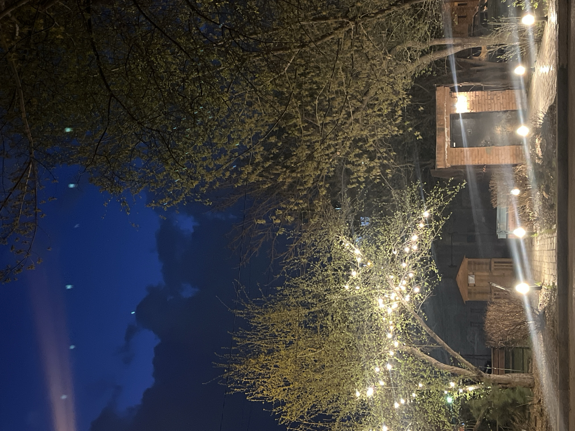 The image depicts an outdoor scene at night. There is a building with a brick facade and a black door. A tree with string lights is prominent, partially obscuring the building. The sky is dark with clouds. The location is unknown.