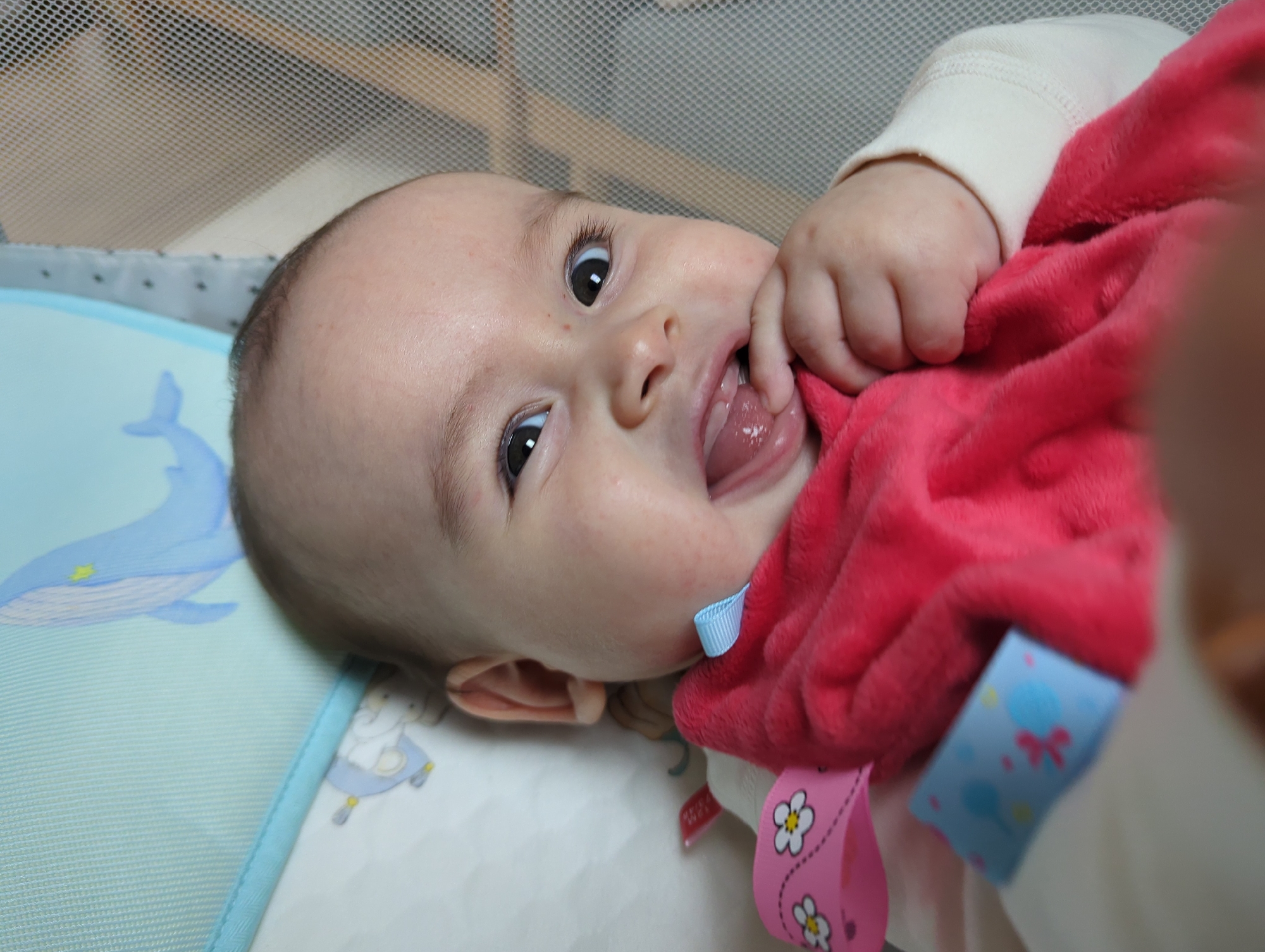A close-up shot of a baby lying on its back in a crib or playpen. The baby is fair-skinned with dark eyes and is smiling with its tongue sticking out. The baby's hand is near its mouth, and it appears to be chewing on a red, plush blanket or toy. The blanket/toy has colorful tags attached to it. The baby is wearing a white garment under the red blanket. The crib has a light-colored mesh side visible in the background. The mattress is covered with a light blue sheet featuring a whale design, and a white sheet with a cartoon elephant motif. The exact location in Shunde District, China, cannot be determined from the image alone.
