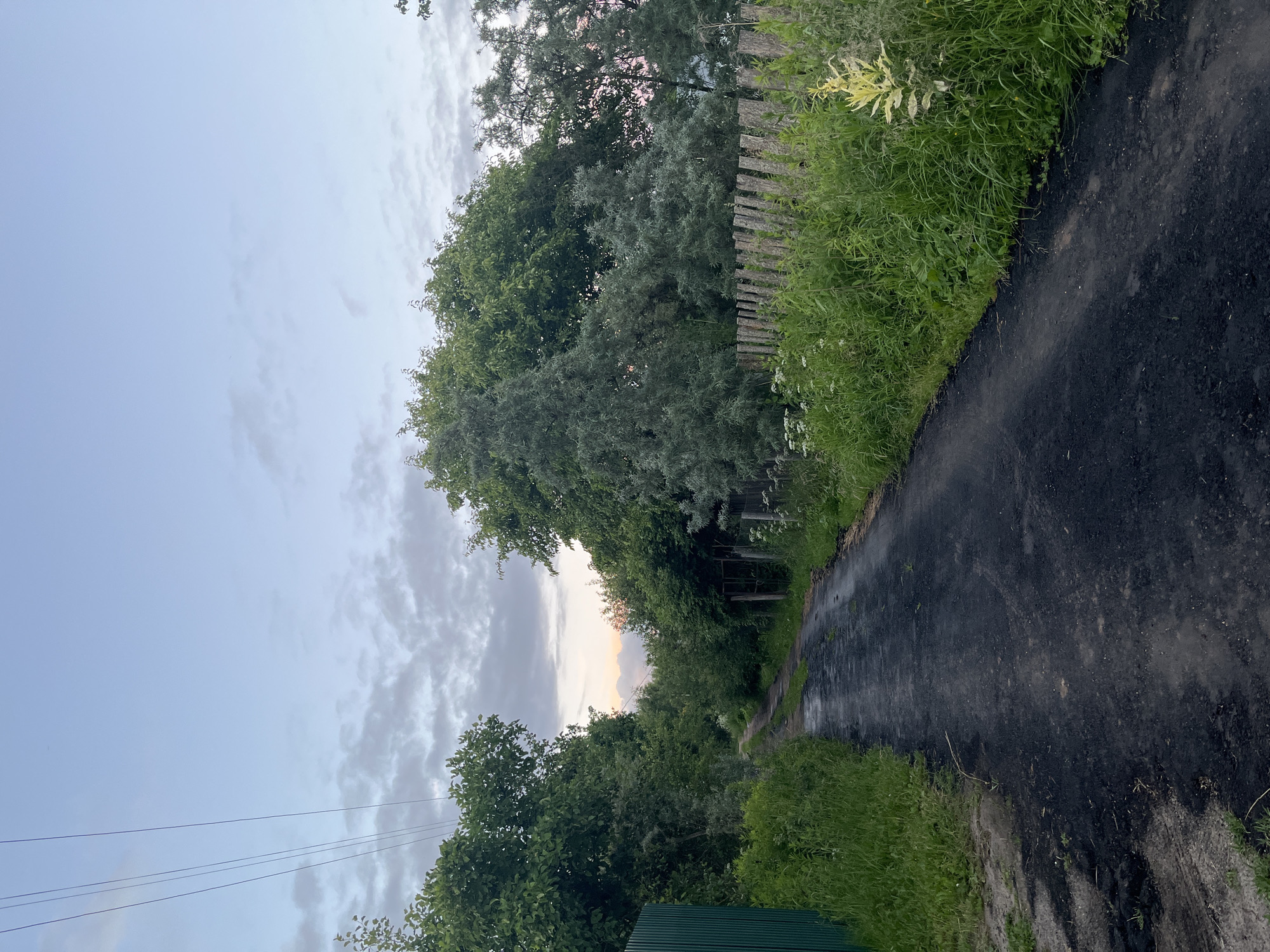 The image depicts a rural dirt road in the village of Klobushnevo, Russia. The road is dark, appearing to be asphalt or compacted dirt, and it curves into the distance, flanked by dense green foliage on both sides. On the left, a tall green metal fence is visible, and on the right, a dilapidated wooden fence with vertical planks borders a patch of wild grass and small white flowers. Several mature trees with lush green leaves line the road, with some appearing to be in the foreground and others further back. In the distance, the sky is a pale blue with scattered clouds, hinting at either early morning or late evening. The overall impression is one of a quiet, undeveloped rural setting.