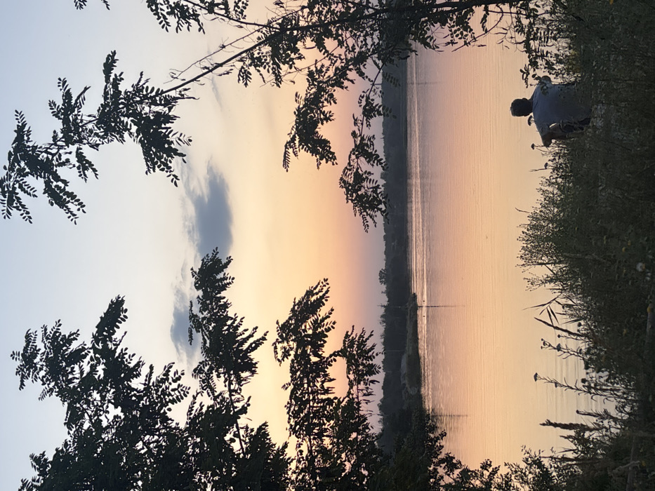 A tranquil scene unfolds at dusk, featuring a body of water reflecting the pastel sky, which transitions from pale blue to peach and gold. Silhouetted trees frame the view, their branches extending into the sky. On the right, a figure sits amidst the vegetation, their gaze directed towards the water. The surrounding foliage is dense, with tall grasses and wildflowers interspersed among the trees.