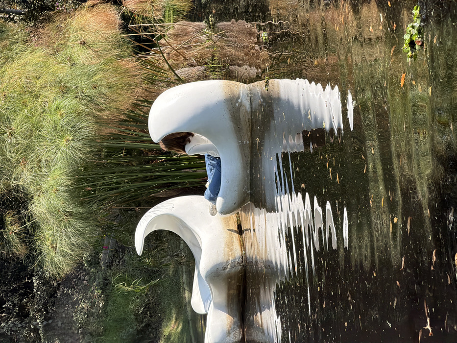 A white swan-shaped pedalo floats on a body of water, its reflection distorted by the ripples. A young person with brown hair, wearing a white top and blue jeans, sits atop the swan's head, seemingly looking down into the water. Lush green plants and tall grasses line the edge of the water, contrasting with the dark water and the swan's bright color.
