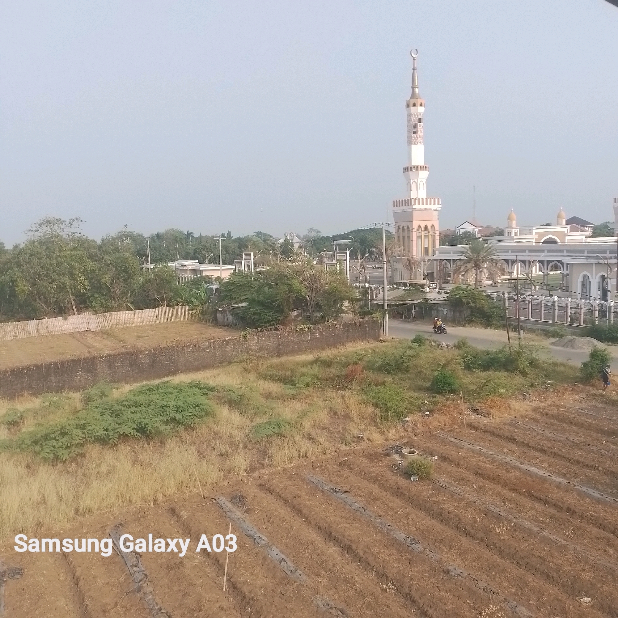 The image captures a scene in Indramayu, Indonesia, featuring a mosque with a tall, slender minaret topped with a crescent moon. The mosque's architecture includes multiple domes and arched windows, painted in light colors. In the foreground, there are agricultural fields with tilled soil and some vegetation. A dirt road runs alongside the fields, with a person on a motorbike visible. Trees and other buildings are present in the middle ground and background, suggesting a semi-urban or suburban environment. The sky is overcast, contributing to a muted color palette. The text "Samsung Galaxy A03" is superimposed on the lower left portion of the image, indicating it is likely a photograph taken with this device.